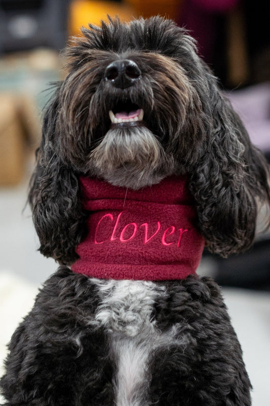 Personalised Fleece Dog Snood - 4 Sizes, Made to Order - Hugo and Ted