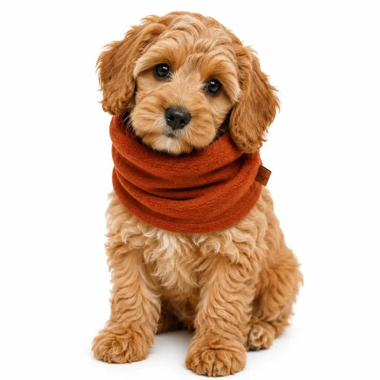 Personalised Fleece Dog Snood - 4 Sizes, Made to Order | Hugo and Ted - Hugo and Ted