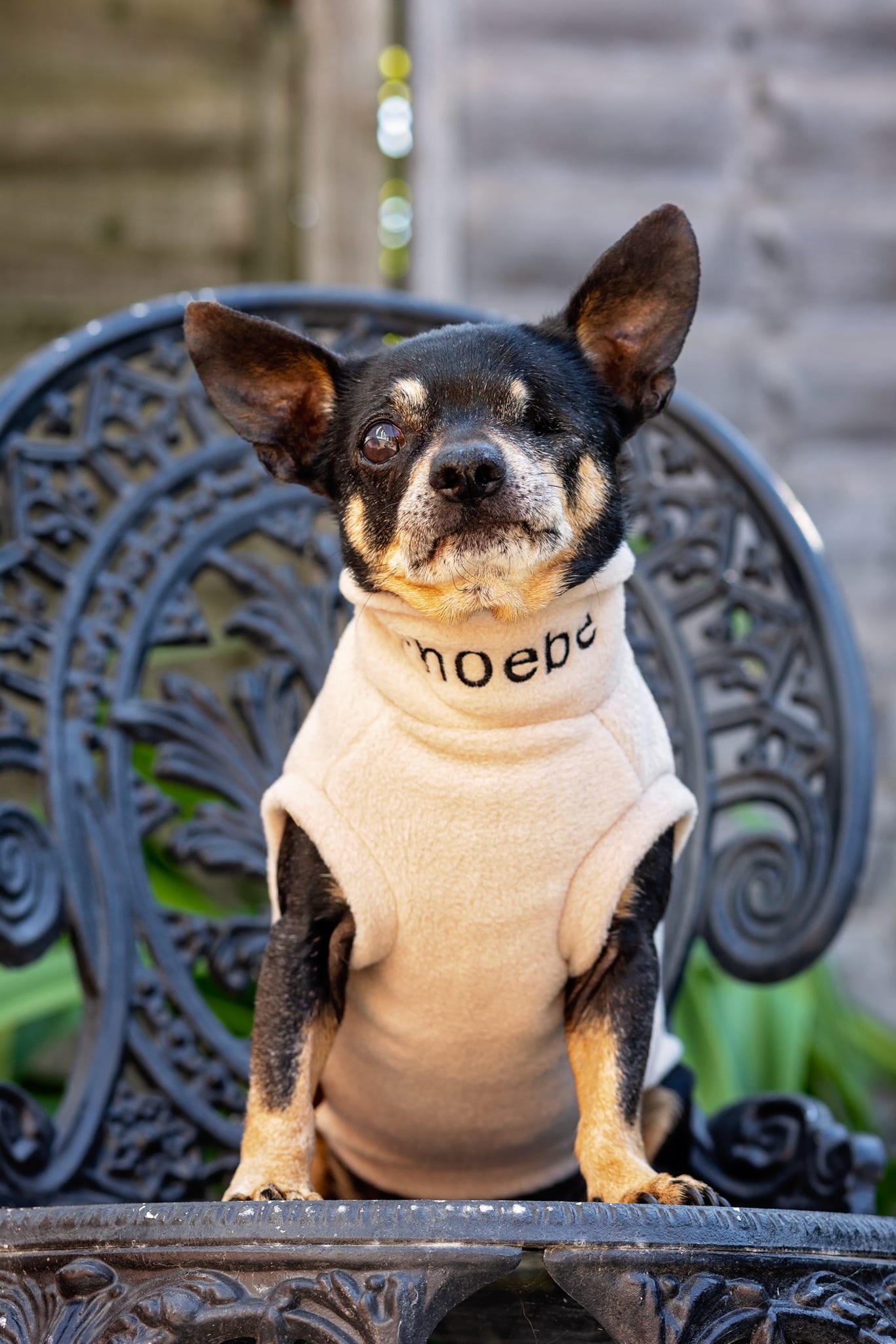Personalised Made - to - Measure Fleece Dog Jumper – Custom Fit & Embroidery - Hugo and Ted