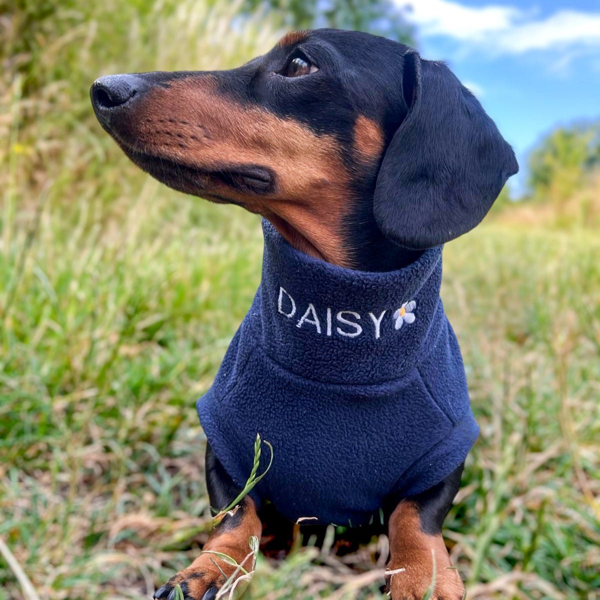 Personalised Made - to - Measure Fleece Dog Jumper – Custom Fit & Embroidery - Hugo and Ted