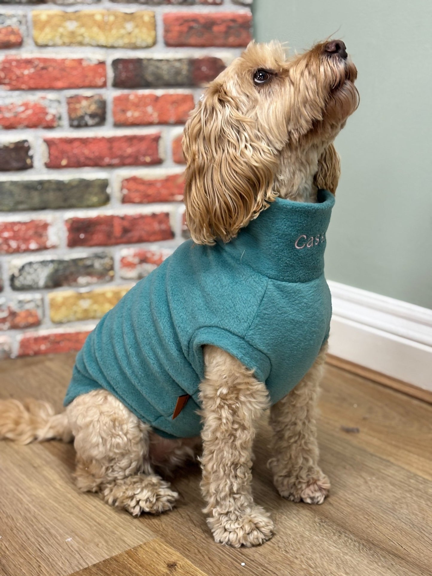 Personalised Made - to - Measure Fleece Dog Jumper – Custom Fit & Embroidery - Hugo and Ted