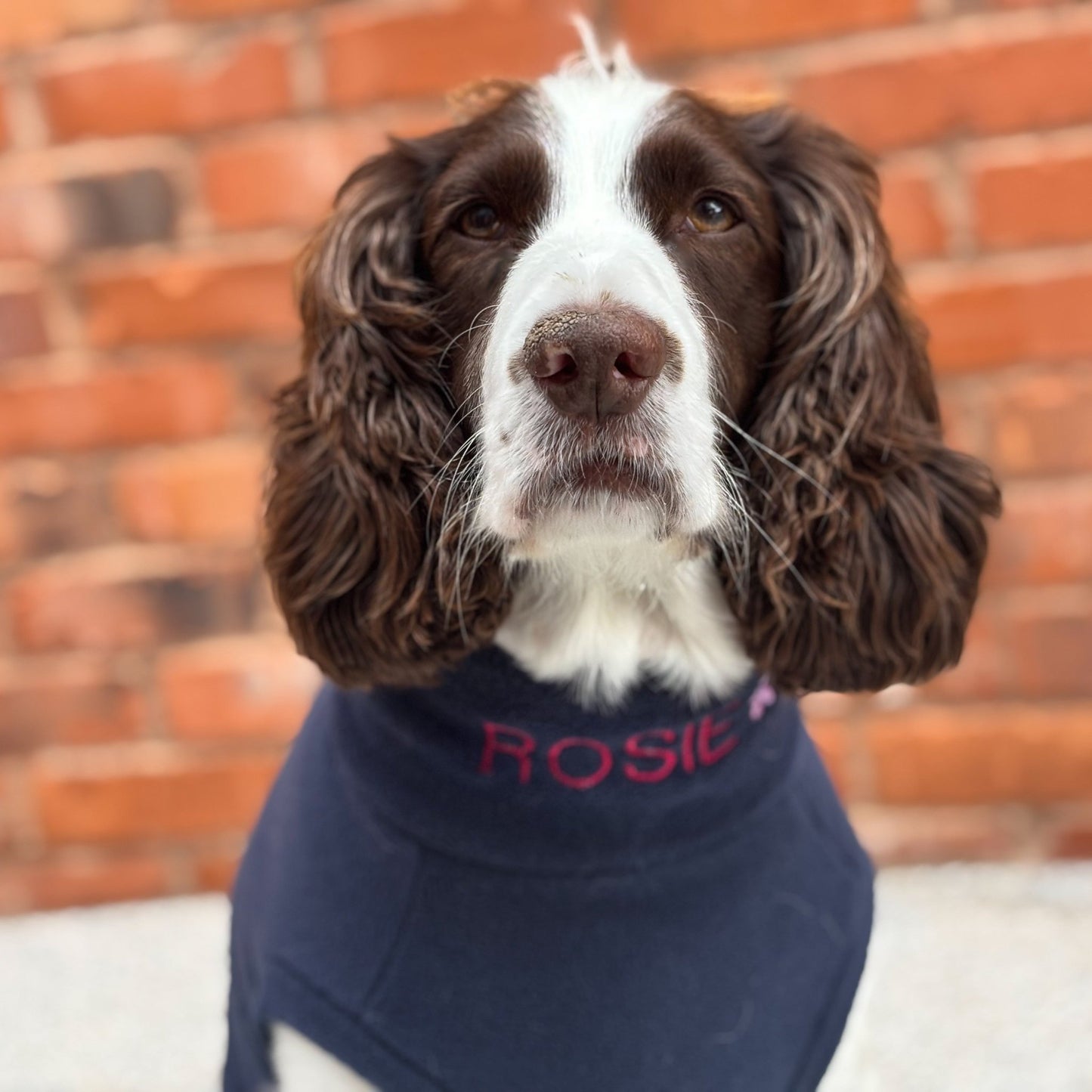 Personalised Made - to - Measure Fleece Dog Jumper – Custom Fit & Embroidery - Hugo and Ted