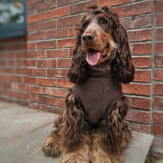 Personalised Made - to - Measure Fleece Dog Jumper – Custom Fit & Embroidery - Hugo and Ted