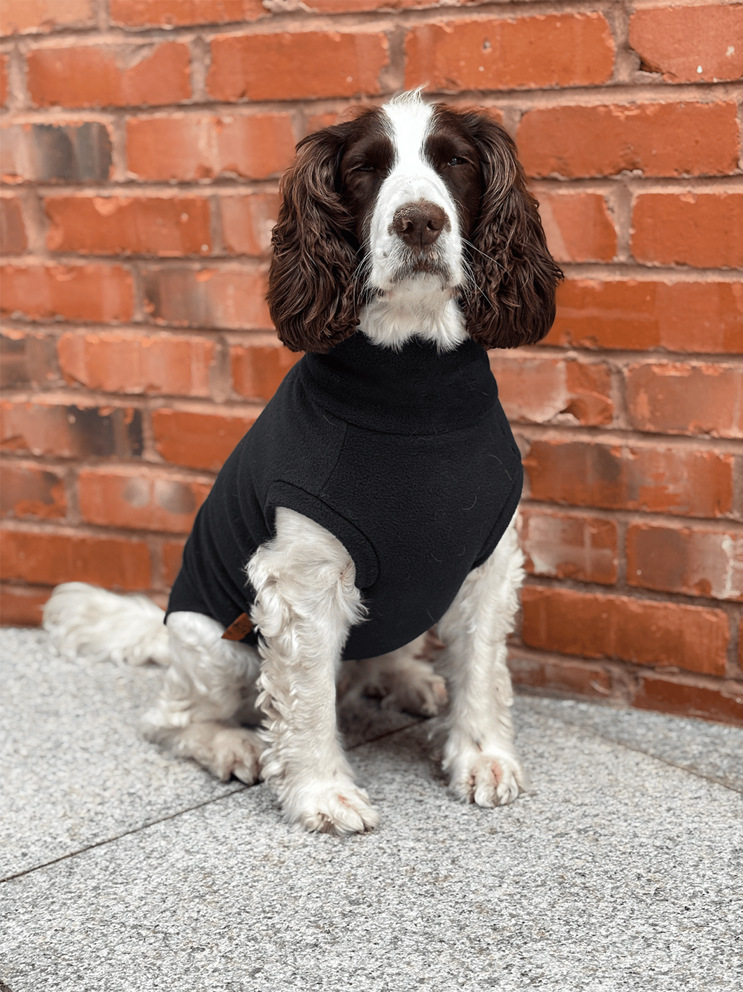 Personalised Made - to - Measure Fleece Dog Jumper – Custom Fit & Rainproof - Hugo and Ted