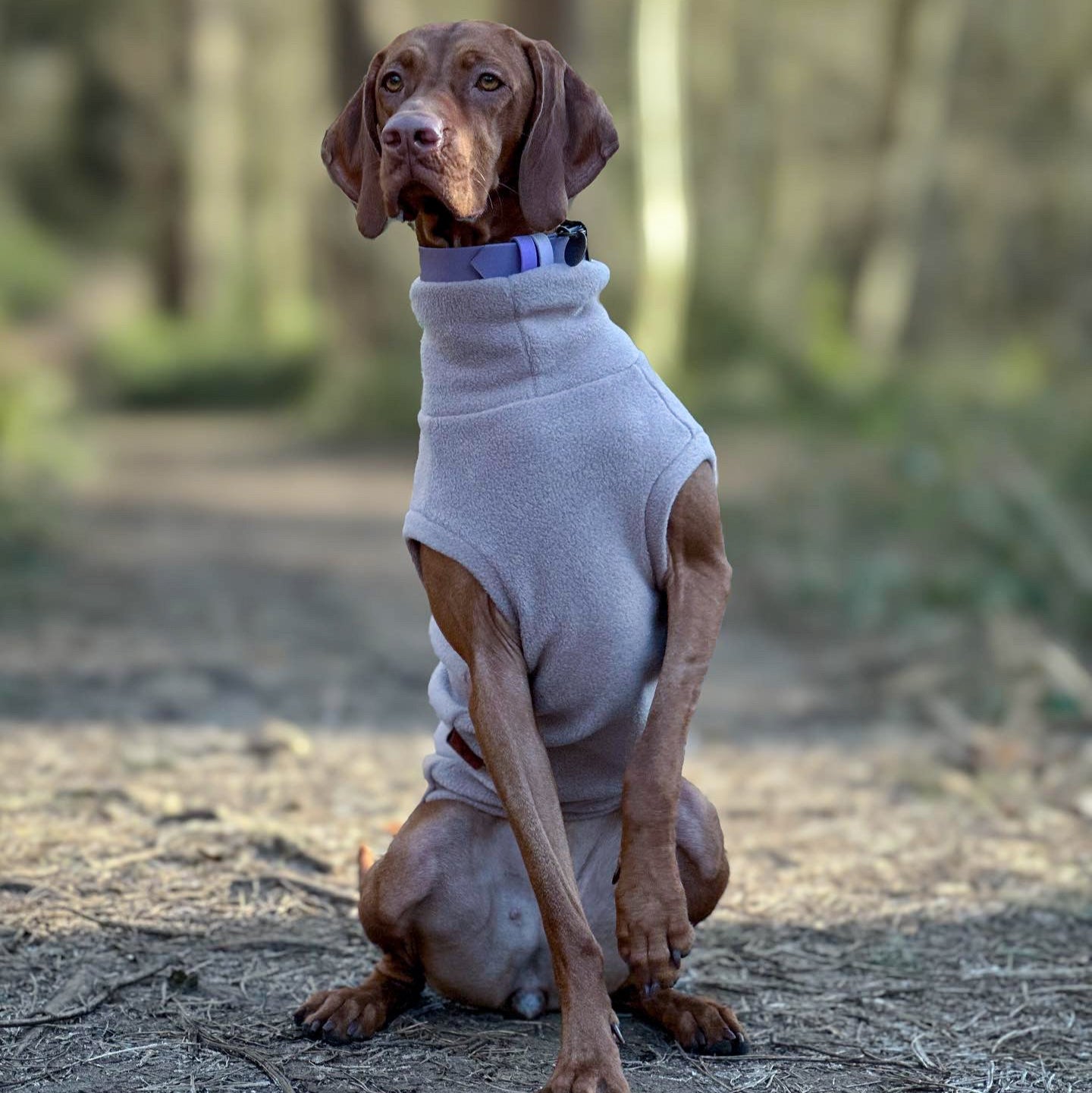 Personalised Made - to - Measure Fleece Dog Jumper – Custom Fit & Rainproof - Hugo and Ted