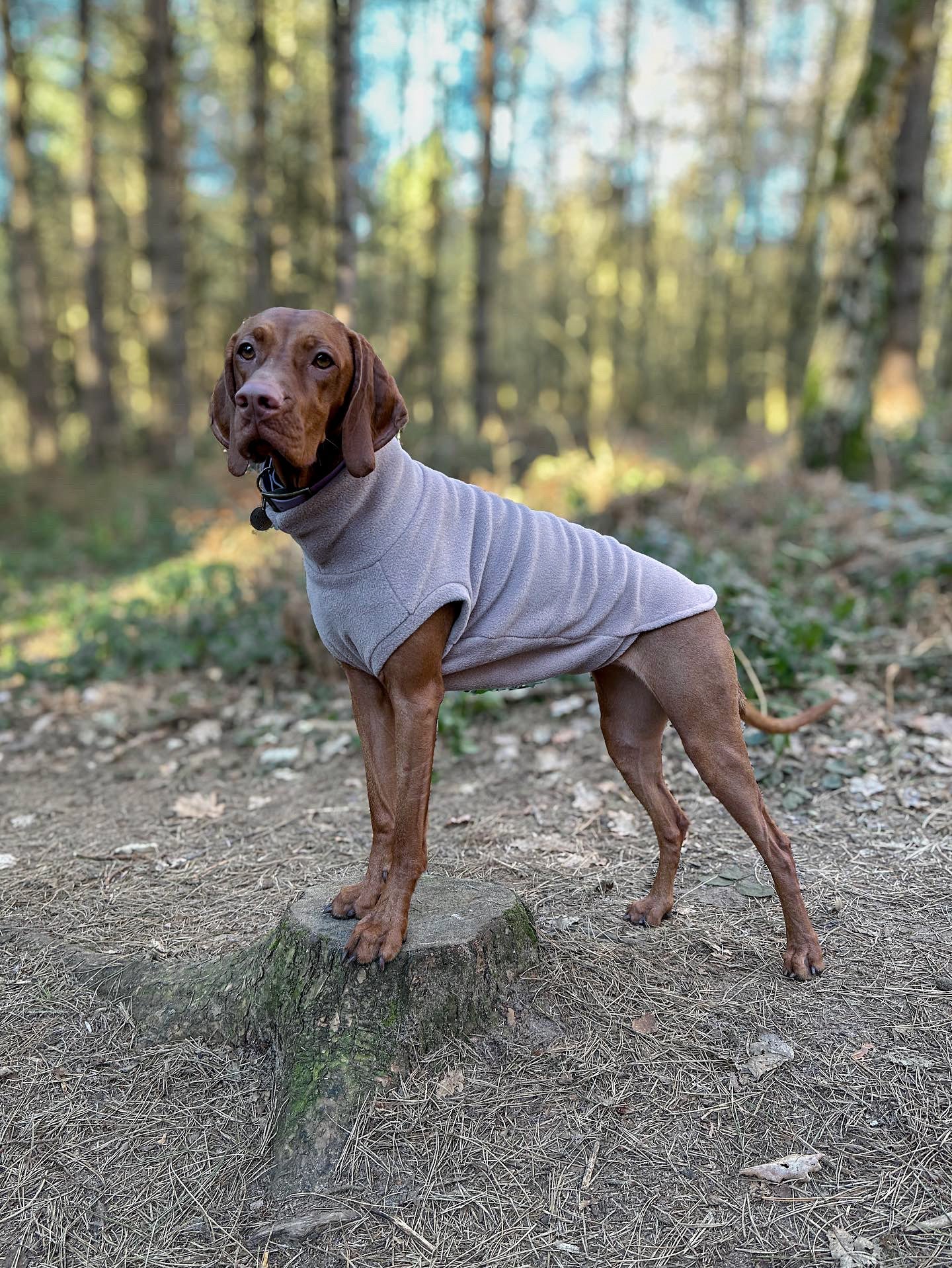 Personalised Made - to - Measure Fleece Dog Jumper – Custom Fit & Rainproof - Hugo and Ted