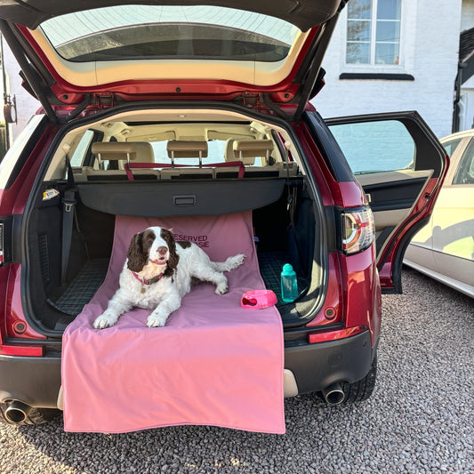 Personalised Waterproof Boot/Car Seat Liners - Hugo and Ted