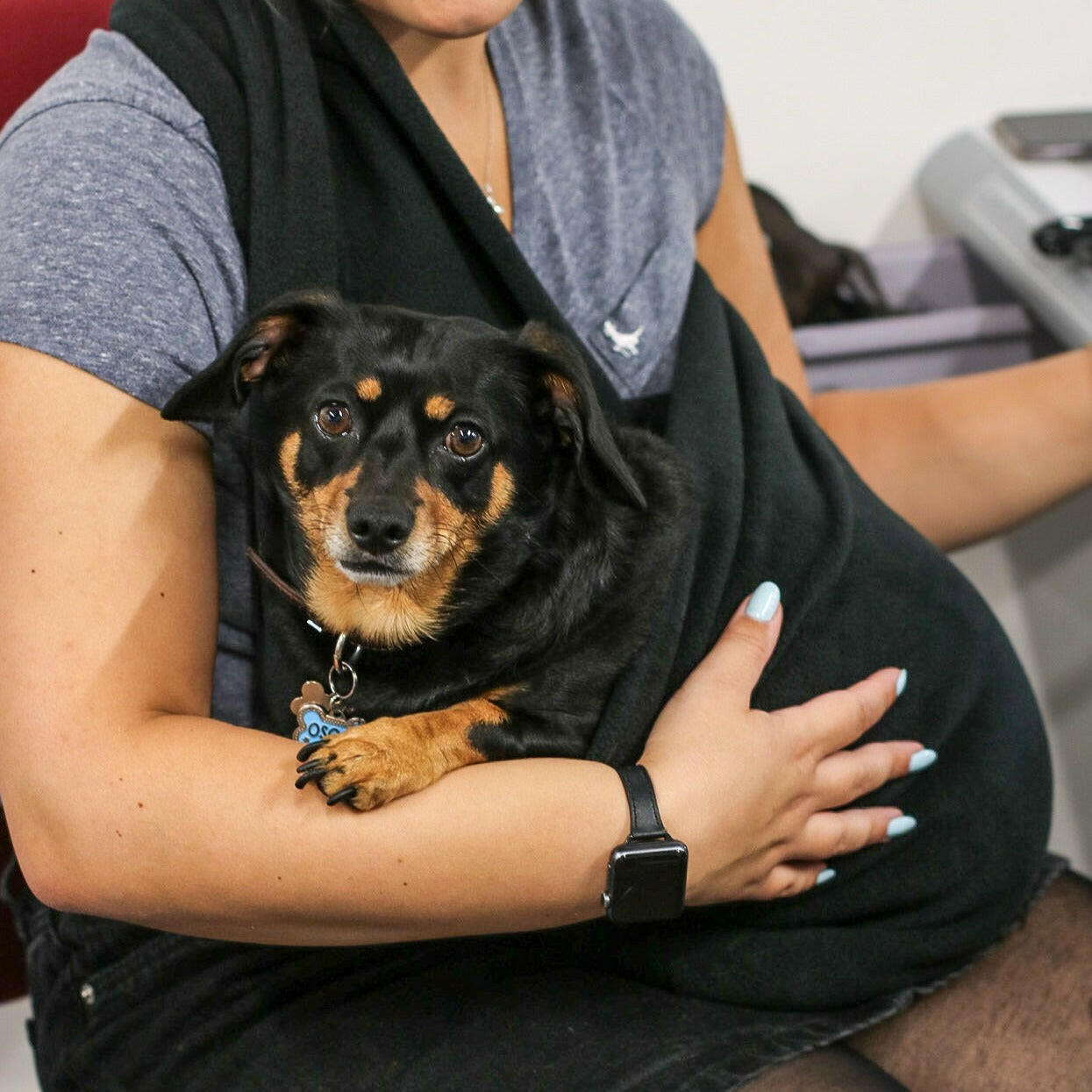 Plain Fleece Comfortable Dog Sling Carrier – Ideal for Small, Elderly, or Disabled Dogs - Hugo and Ted