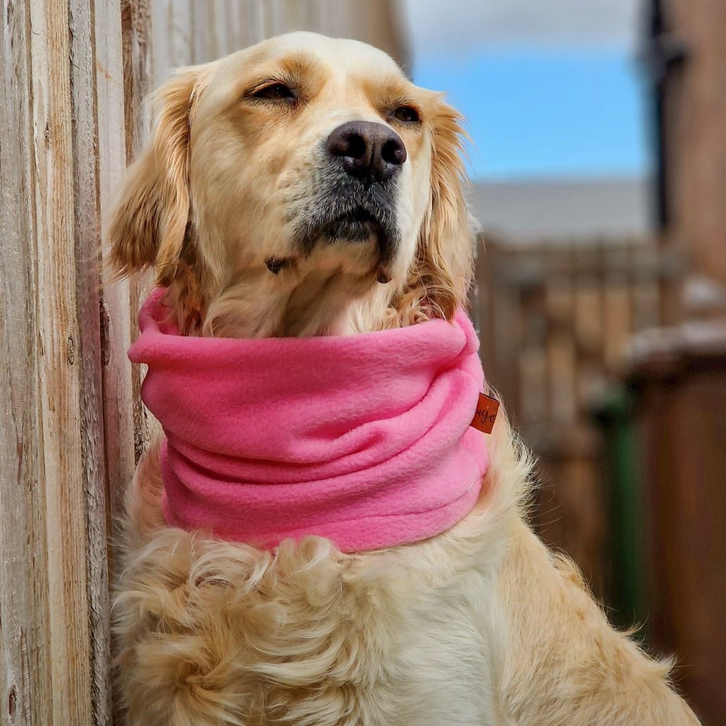 Polar Fleece Red Fleece Scarf Dog Fleece Snoods: The Perfect Dog