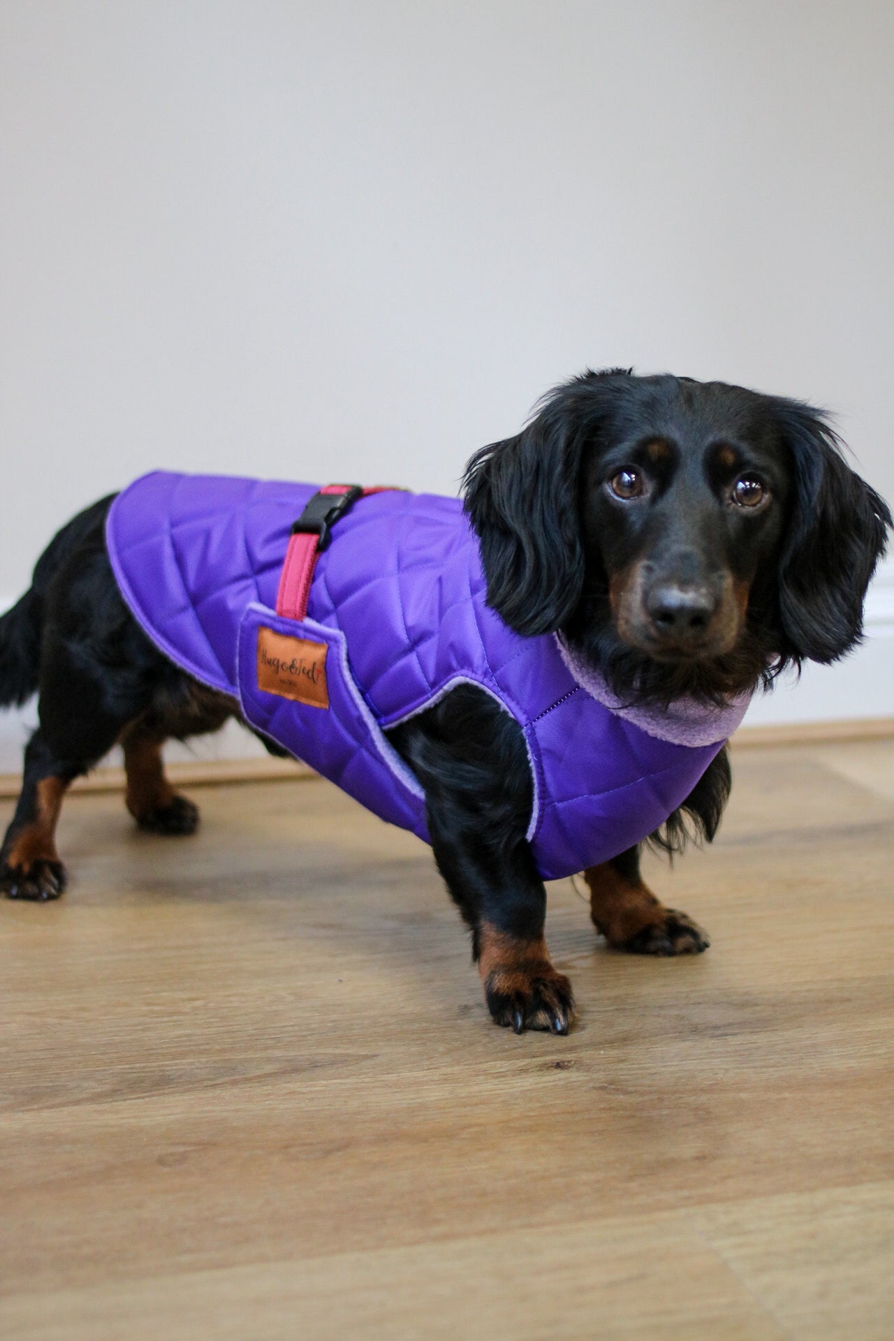 Quilted Ultimate Walkies Waterproof Dog Coat – Made to Measure, Fully Lined & Built for Wet Weather Adventures - Hugo and Ted