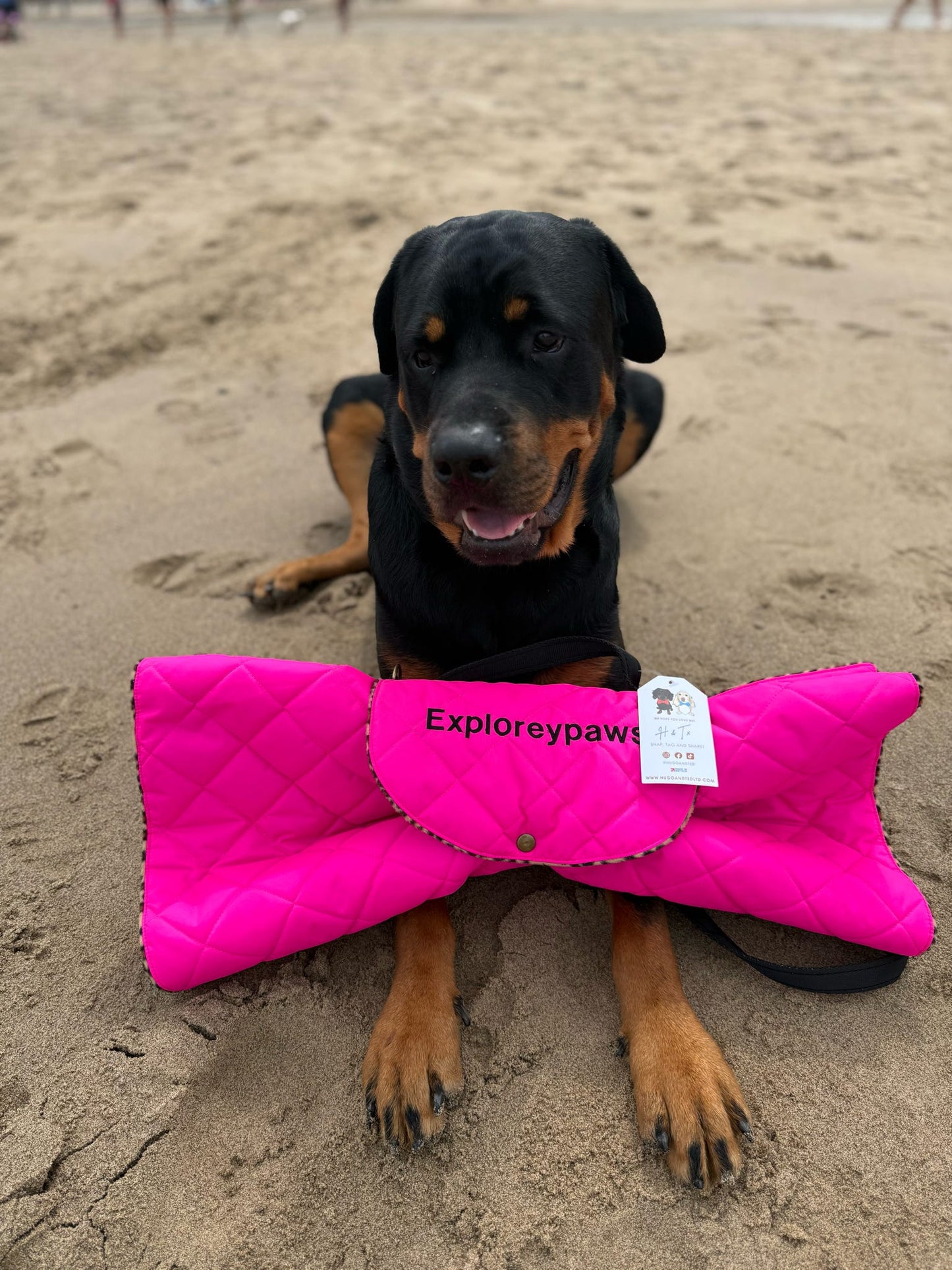 Quilted Walkies Mats – Waterproof, Soft Fleece Mat for Outdoor Adventures & Café Visits - Hugo and Ted