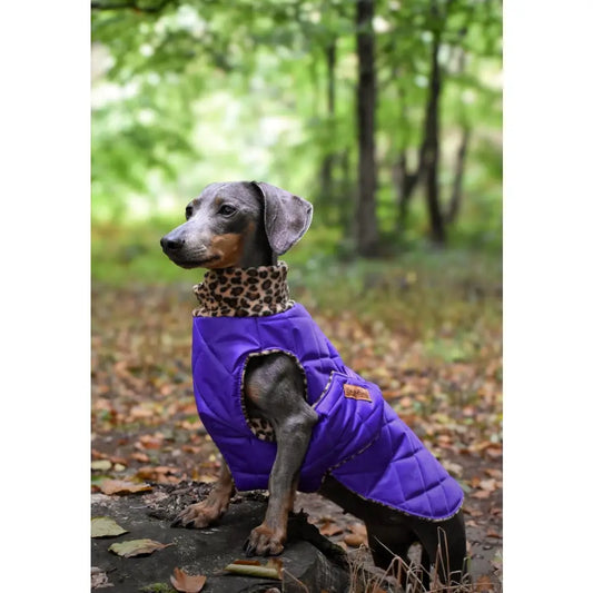 Quilted Ultimate Walkies Waterproof Dog Coat – Custom Fit for Walks & Wet Weather Adventures - Hugo and Ted