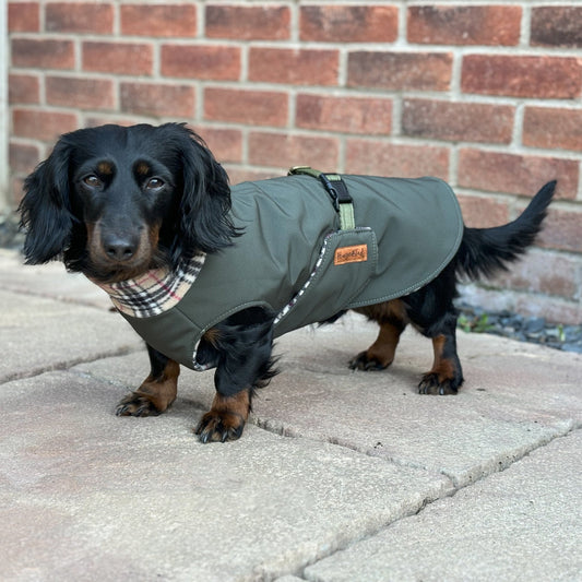 Rainfleece Ultimate Walkies Waterproof Coats - Hugo and Ted