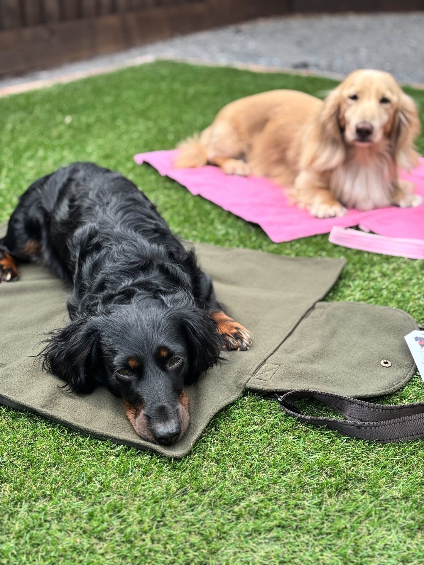 Rainfleece Walkies Mat – Waterproof, Soft Fleece Mat for Outdoor Adventures & Café Visits - Hugo and Ted