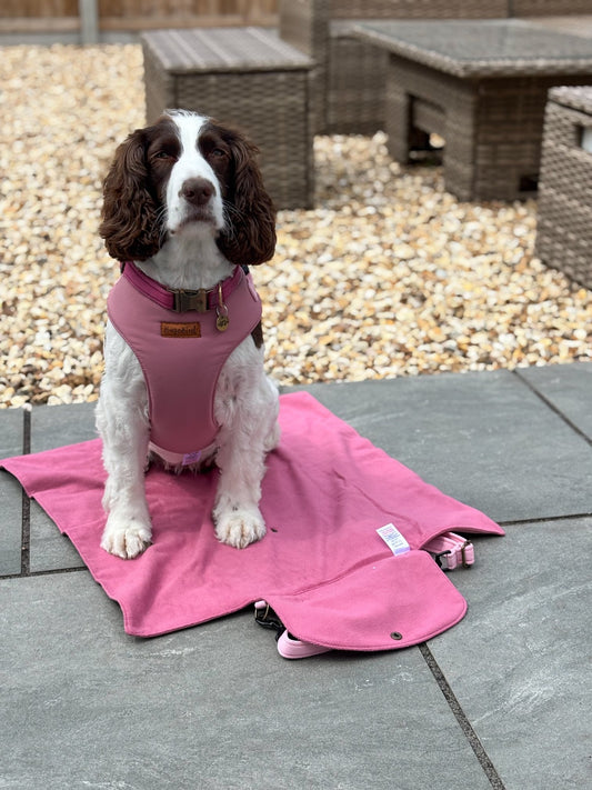 Rainfleece Walkies Mat – Waterproof, Soft Fleece Mat for Outdoor Adventures & Café Visits - Hugo and Ted