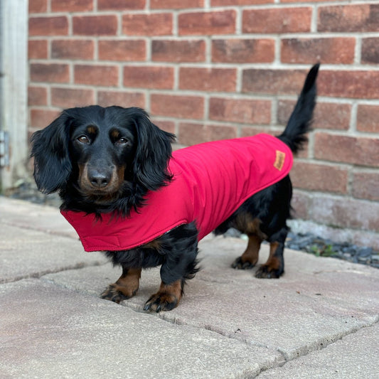 Rainfleece Waterproof Simple Dog Coat - Hugo and Ted