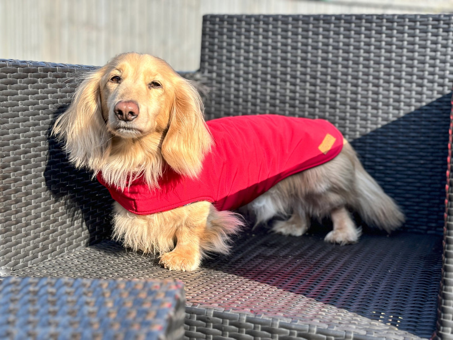 Rainfleece Waterproof Simple Dog Coat - Hugo and Ted