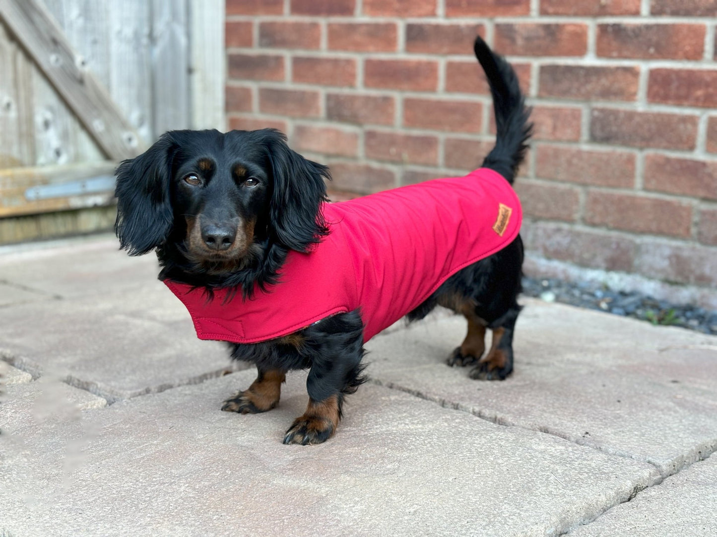 Rainfleece Waterproof Simple Dog Coat - Hugo and Ted