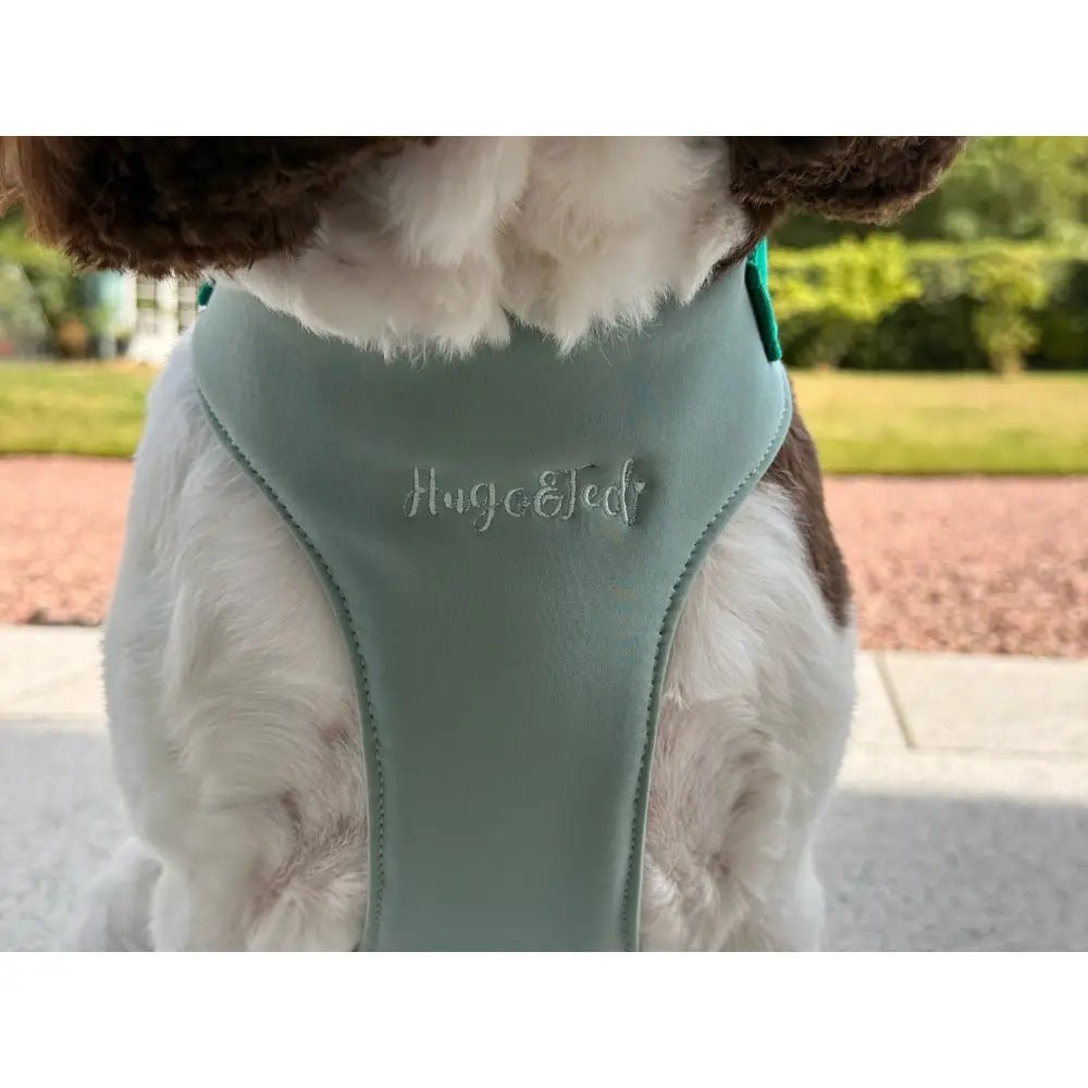 Rainfleece Waterproof Step-In Dog Harness - Made to Measure, All Breeds - Hugo and Ted