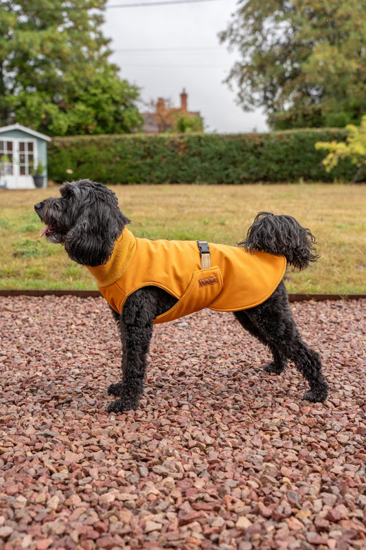 Rainfleece Waterproof Ultimate Walkies Coat - Core Collection - Hugo and Ted