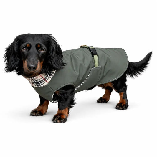 Rainfleece Waterproof Ultimate Walkies Coat - Ready to Ship - Hugo and Ted