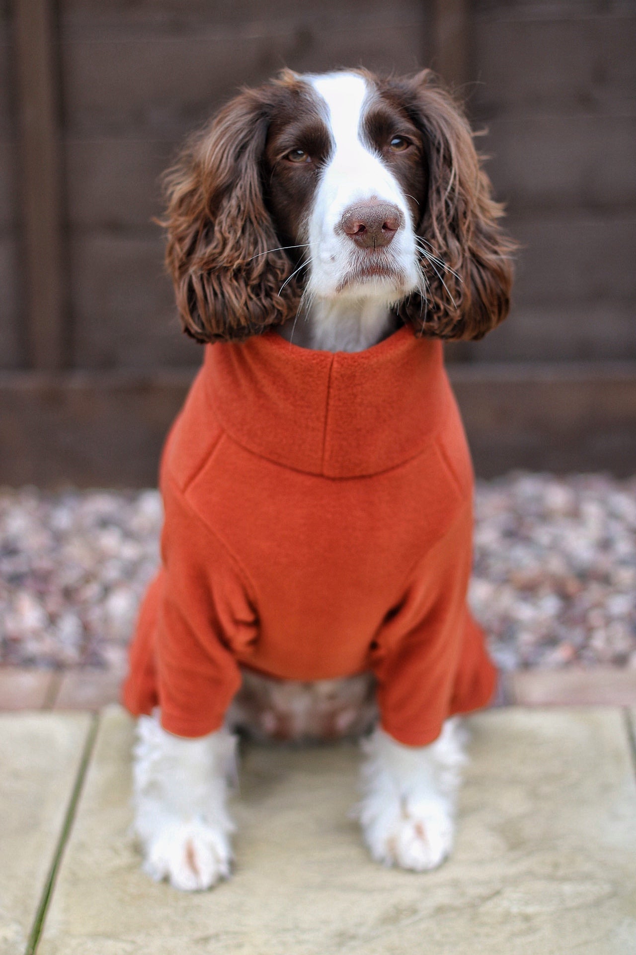 Ready to Ship - Standard Size Fleece Dog Jumpsuit - Hugo and Ted