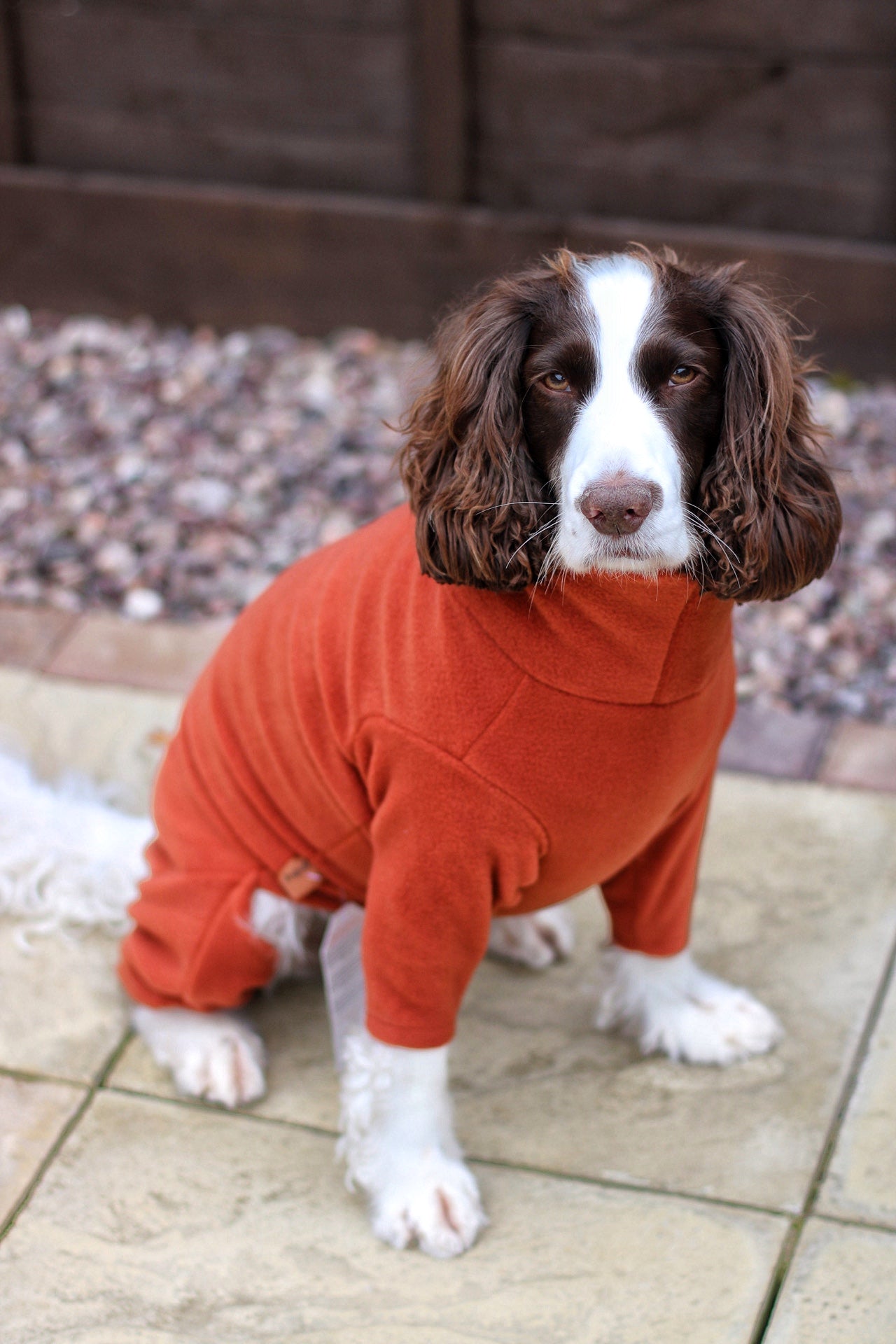 Ready to Ship - Standard Size Fleece Dog Jumpsuit - Hugo and Ted