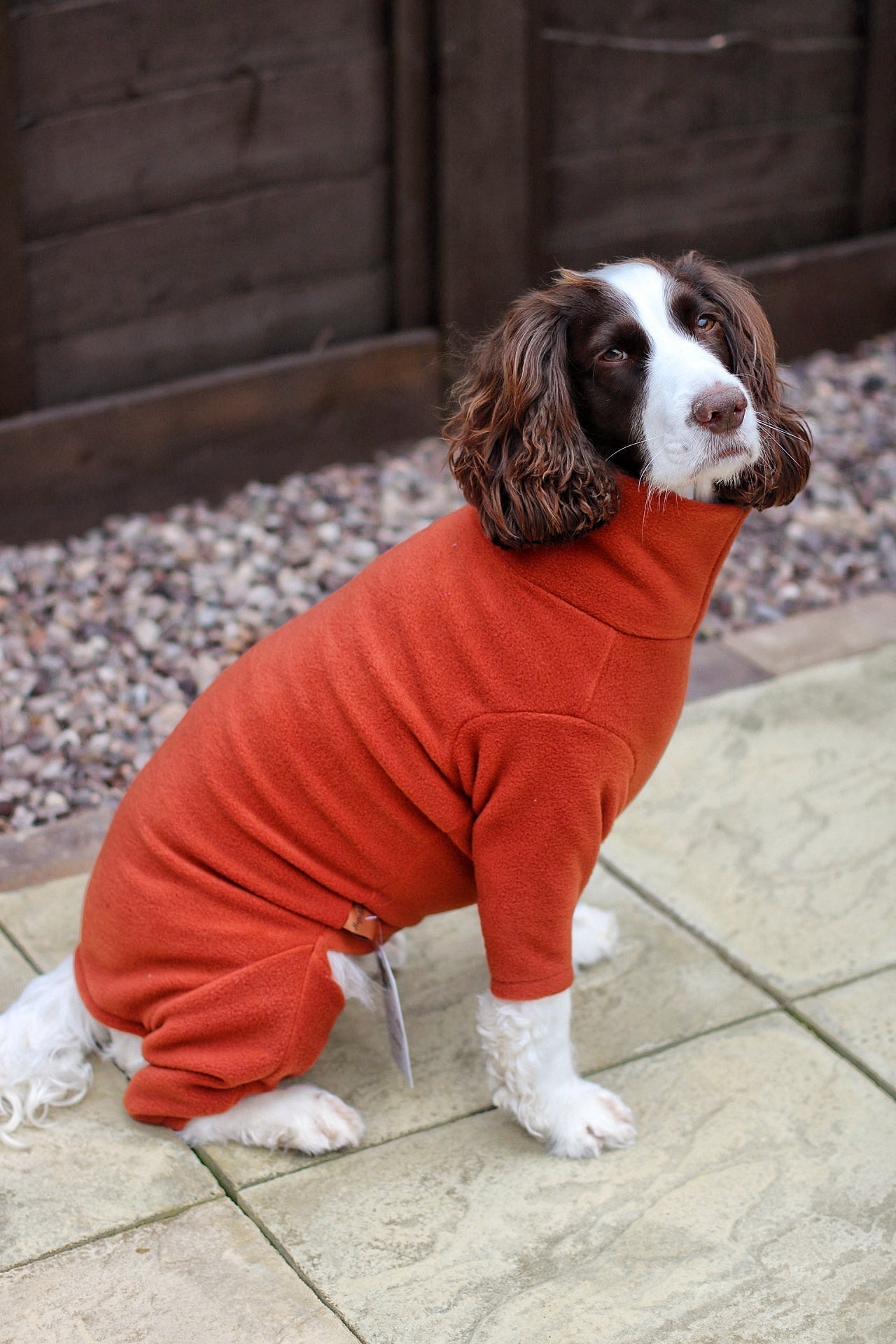 Ready to Ship - Standard Size Fleece Dog Jumpsuit - Hugo and Ted