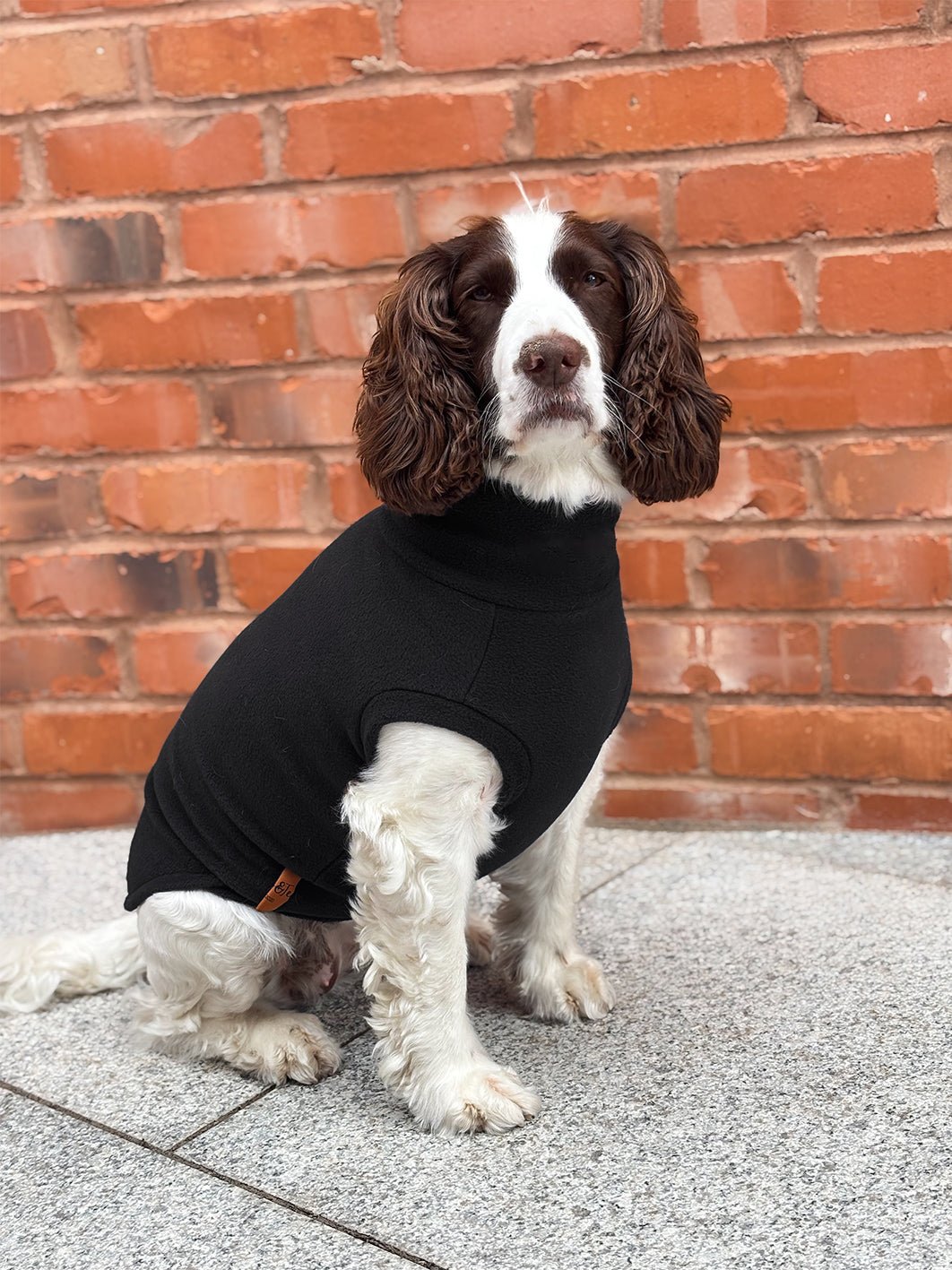 Simply Hugo and Ted - Standard Sized Fleece Snuggle Jumpers - Hugo and Ted