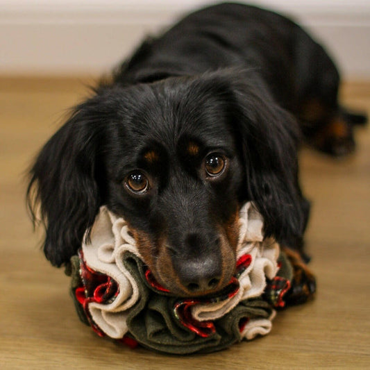 Snuffle Balls - Hugo and Ted