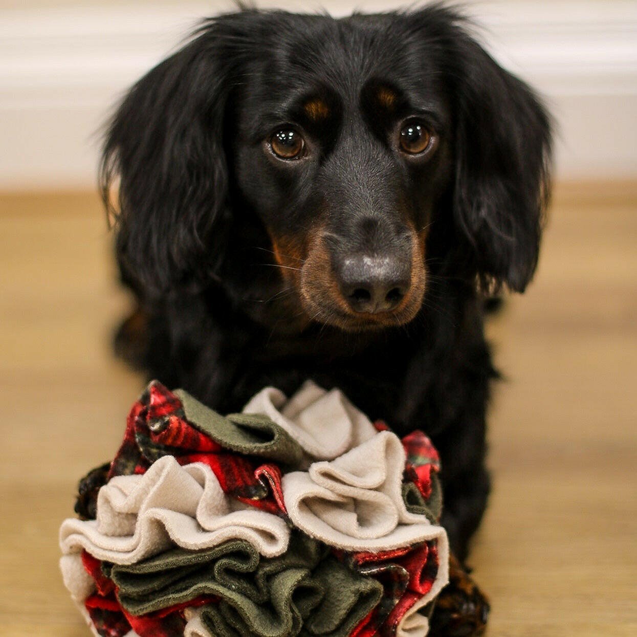 Snuffle Balls - Hugo and Ted