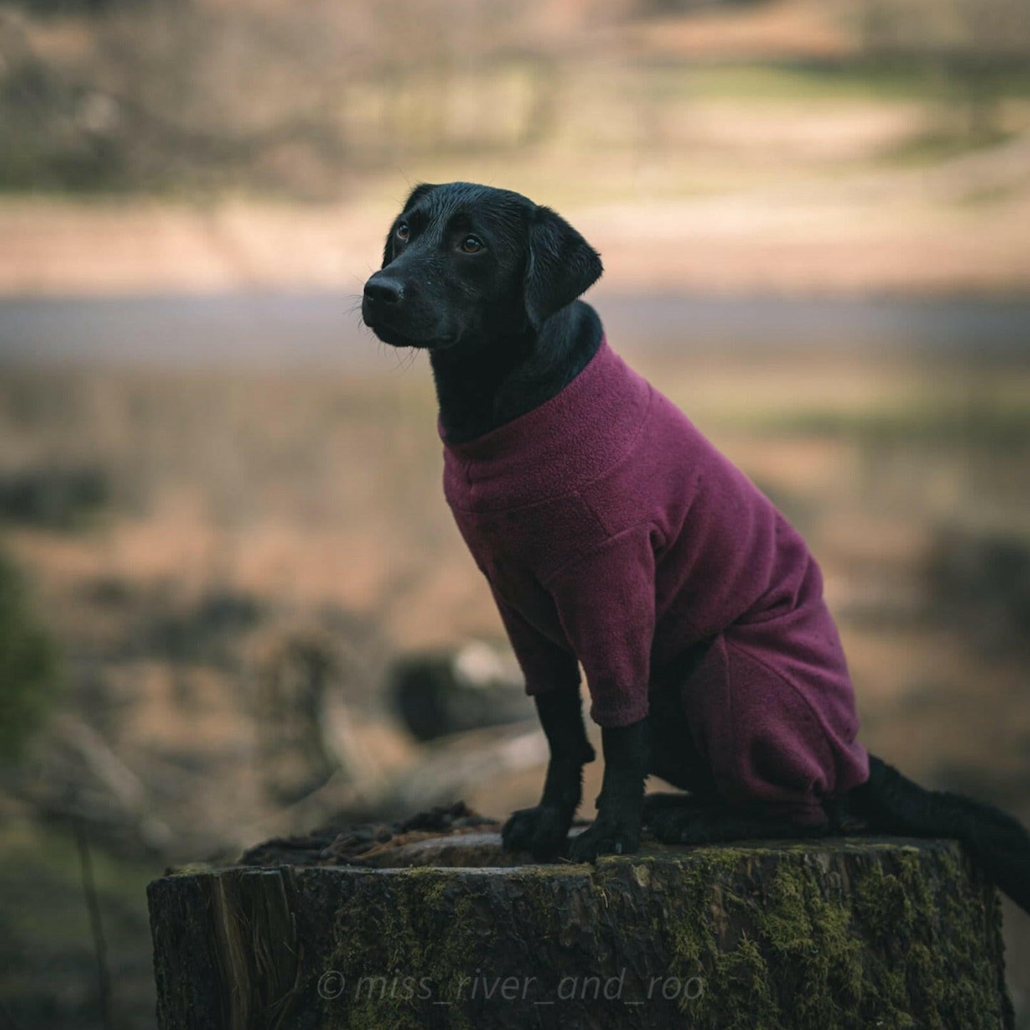 Standard Size Fleece Onesies - Hugo and Ted