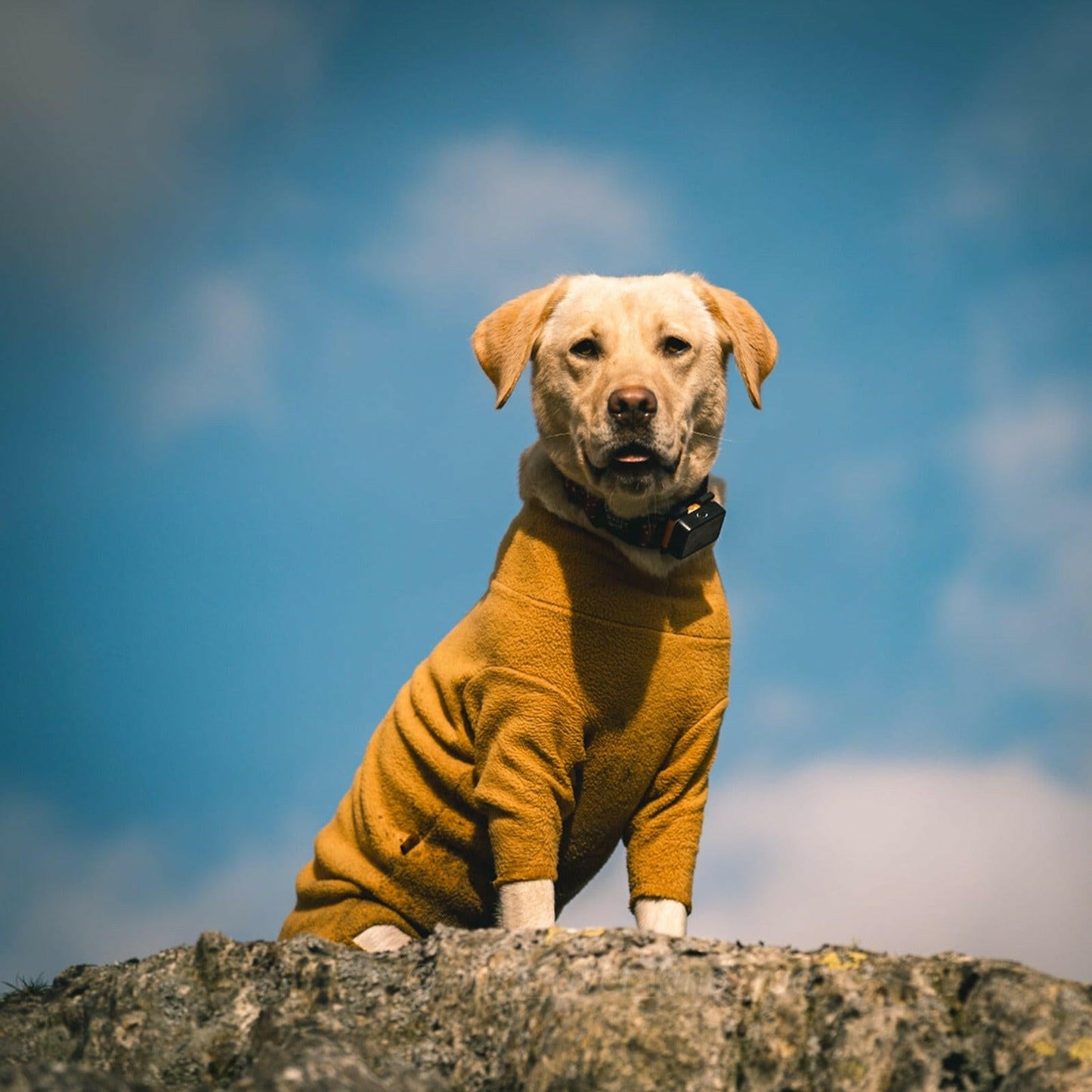 Standard Size Fleece Onesies - Hugo and Ted