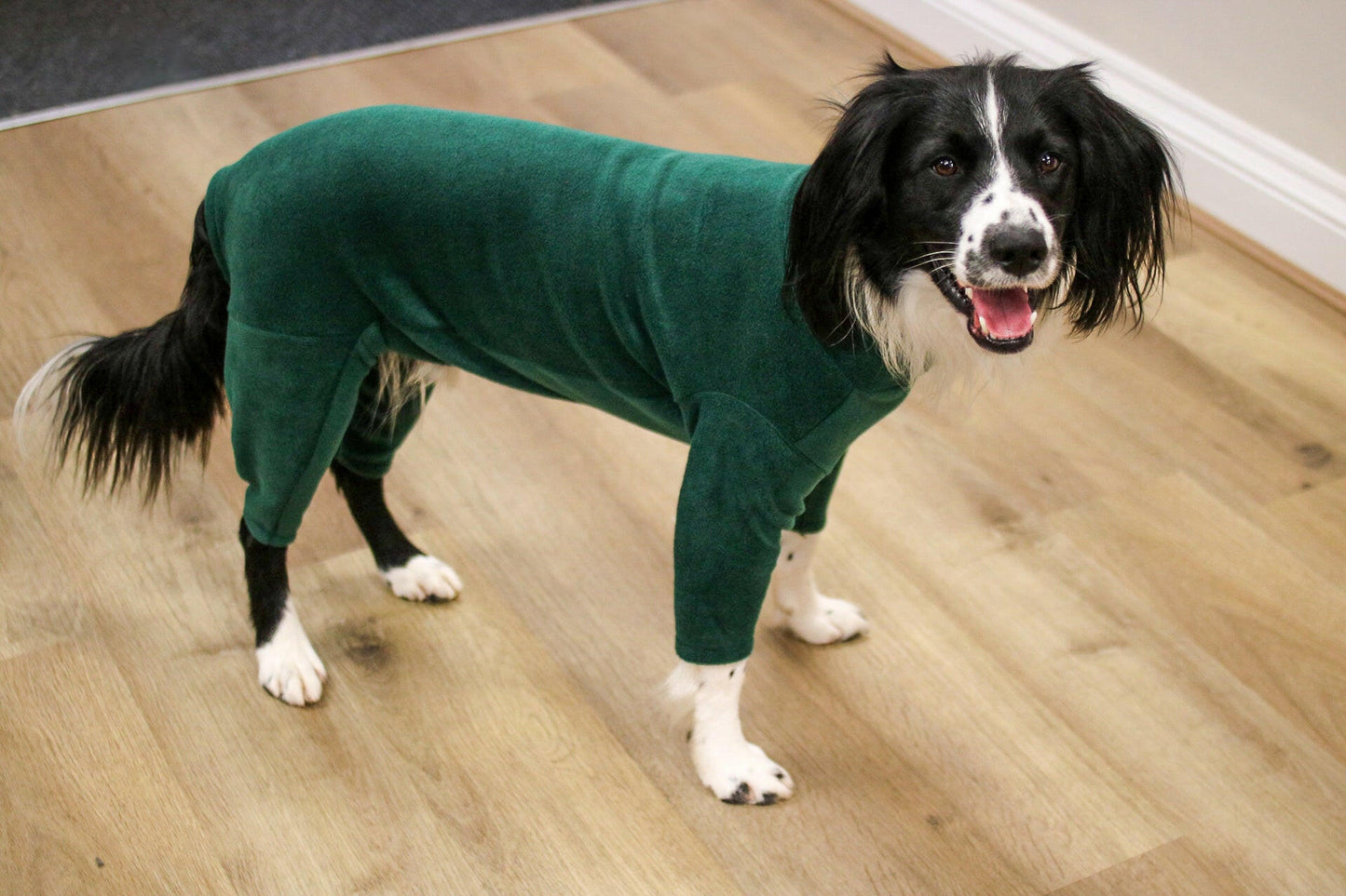 Standard Size Fleece Onesies - Hugo and Ted