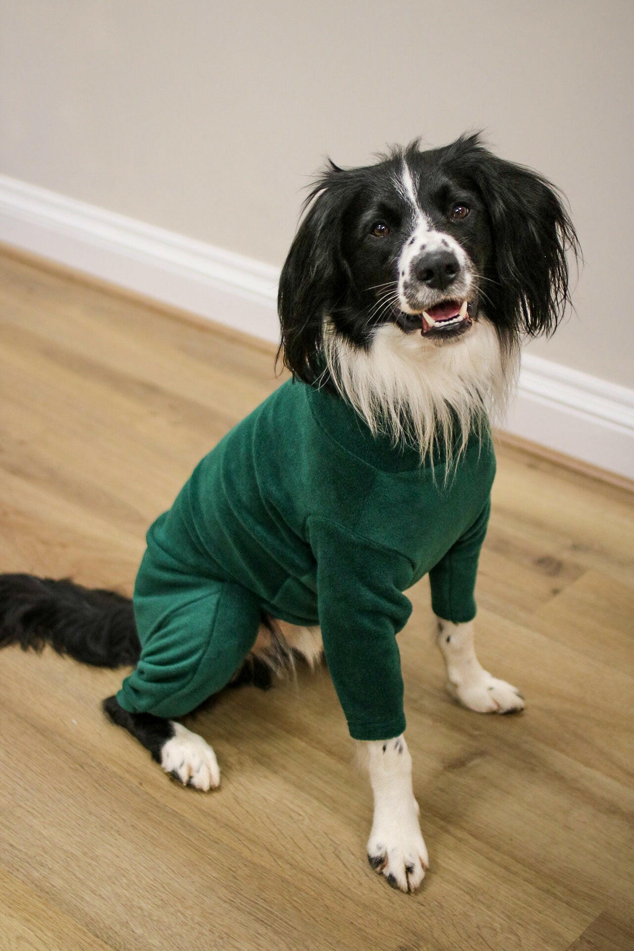 Standard Size Fleece Onesies - Hugo and Ted