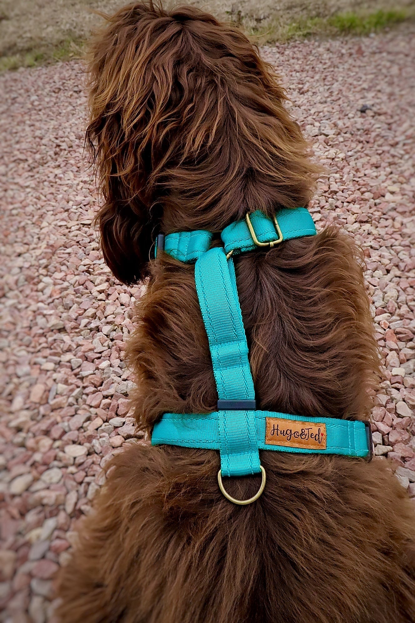 Strap Harness – Lightweight, Wipe - Clean Step - In Harness - Hugo and Ted