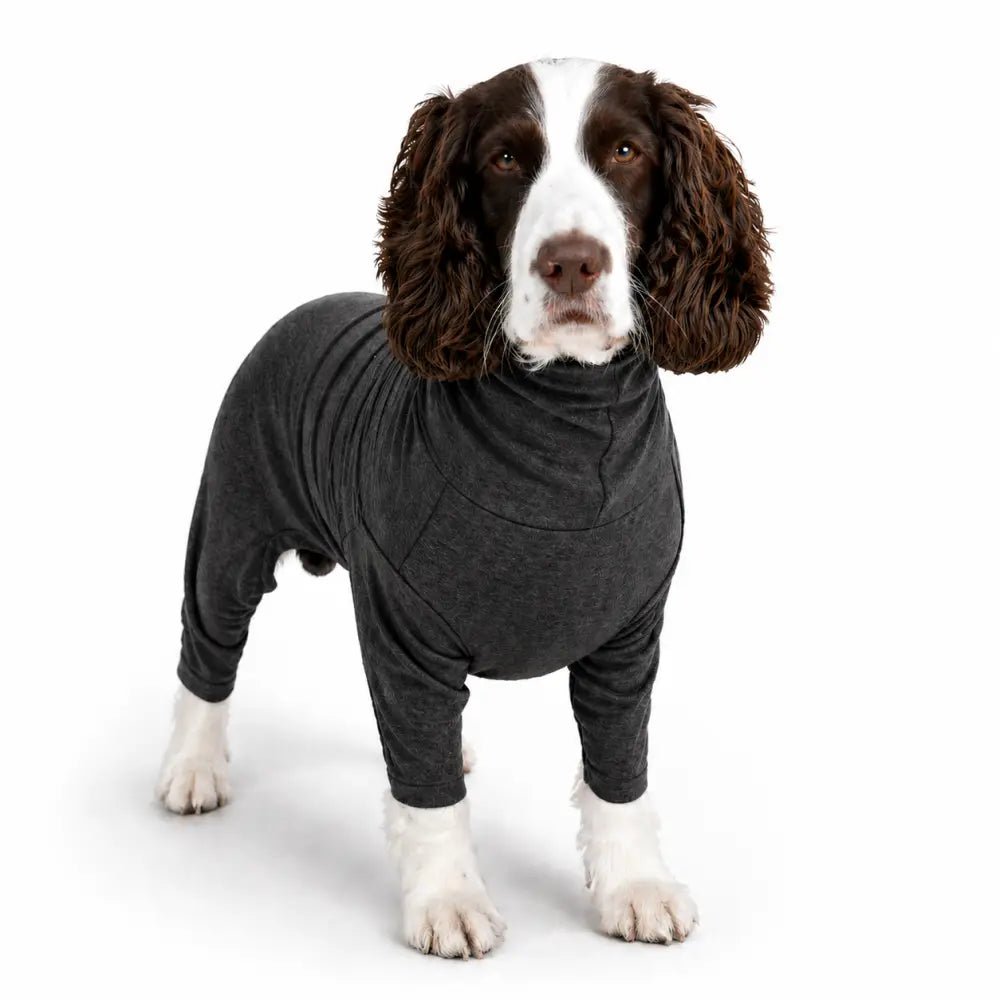 Summer Cooling & Allergy Suit - Allergy Protection for Dogs - Hugo and Ted