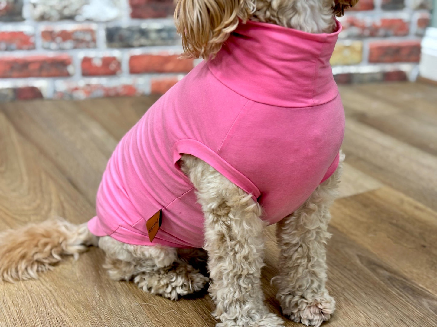 Summer Cooling & Allergy T-Shirt – Lightweight, Breathable Protection for Sensitive Dogs - Hugo and Ted