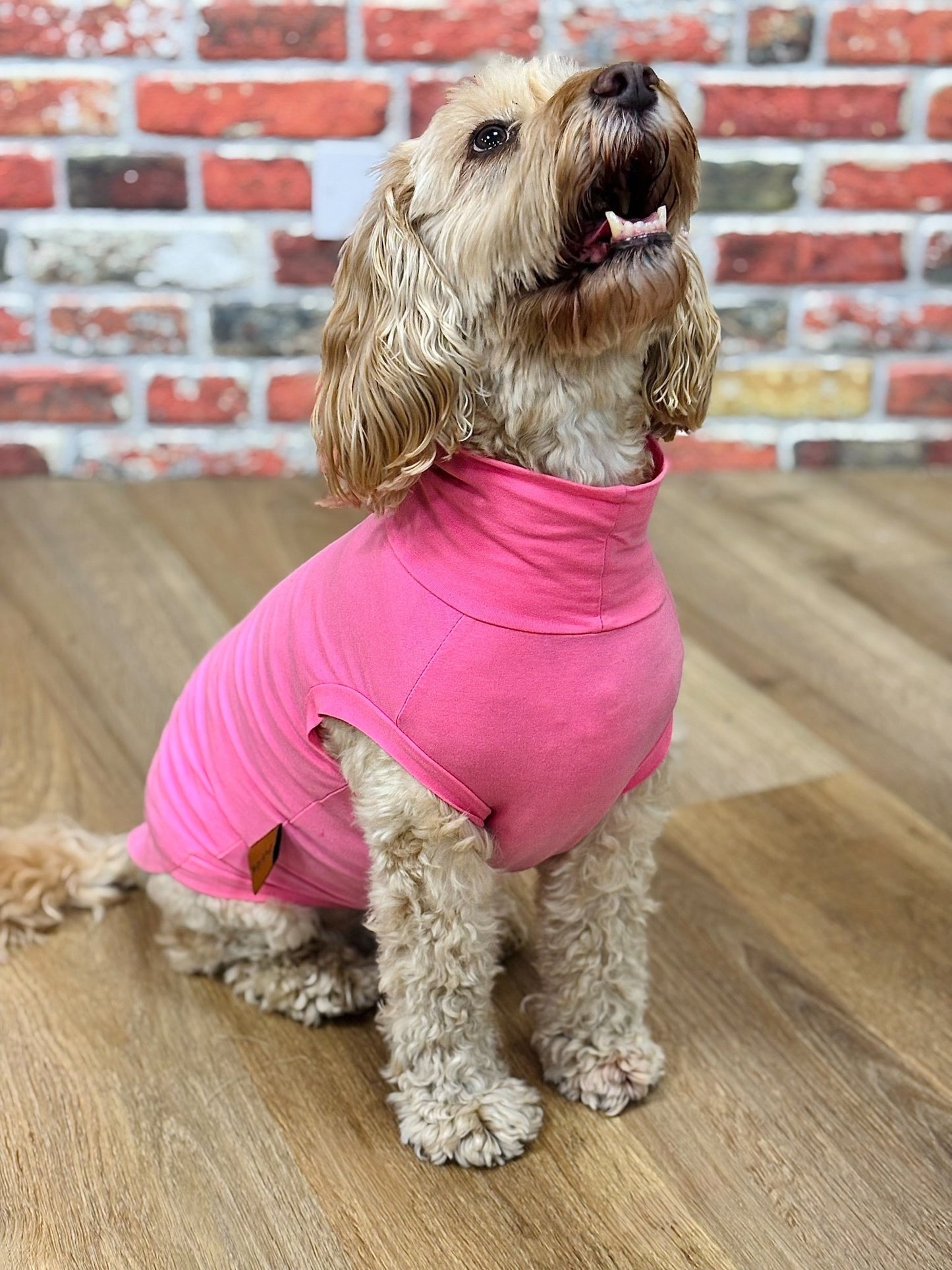Summer Cooling & Allergy T-Shirt – Lightweight, Breathable Protection for Sensitive Dogs - Hugo and Ted