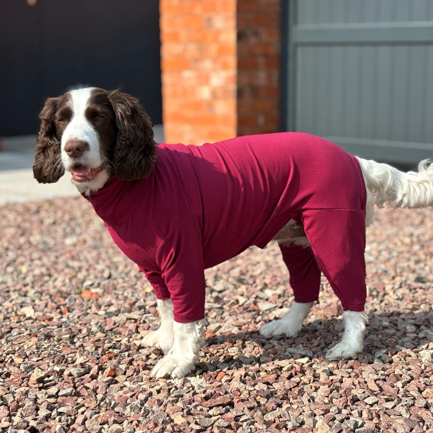Summer Cotton Cooling/Allergy Suits - Hugo and Ted