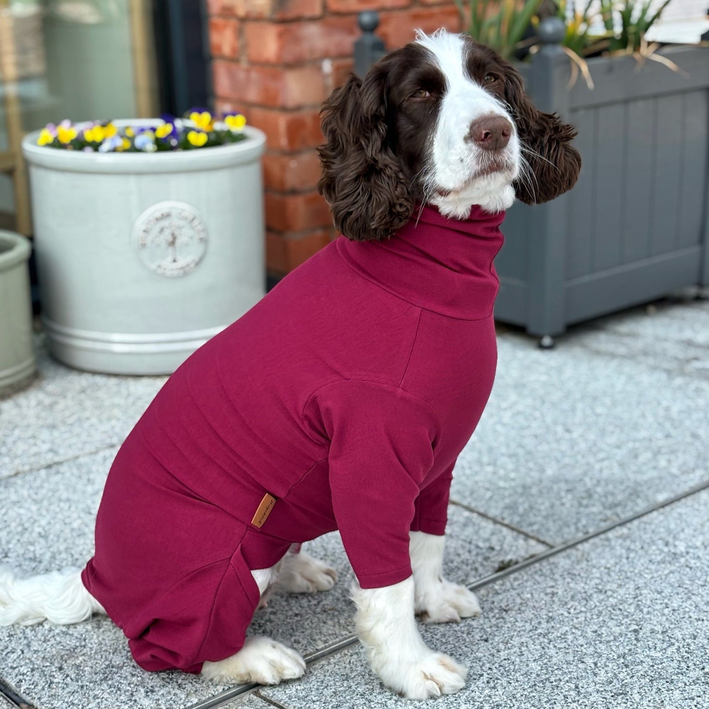 Summer Cotton Cooling/Allergy Suits - Hugo and Ted
