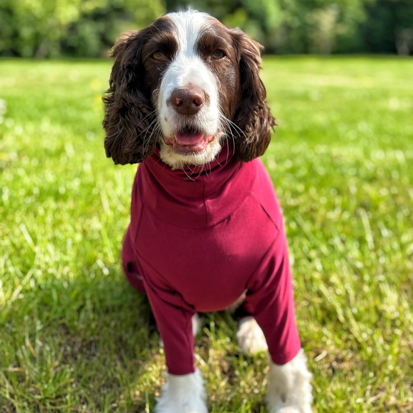 Summer Cotton Cooling/Allergy Suits - Hugo and Ted