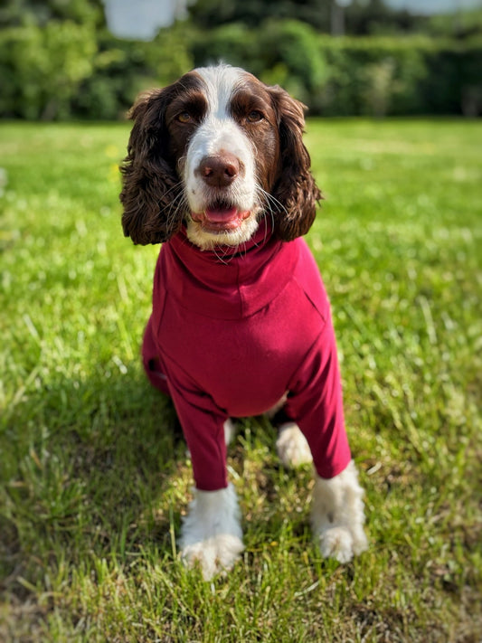 Summer Dog Suit – Lightweight, Breathable, Four - Legged Allergy Protection for Sensitive Dogs - Hugo and Ted