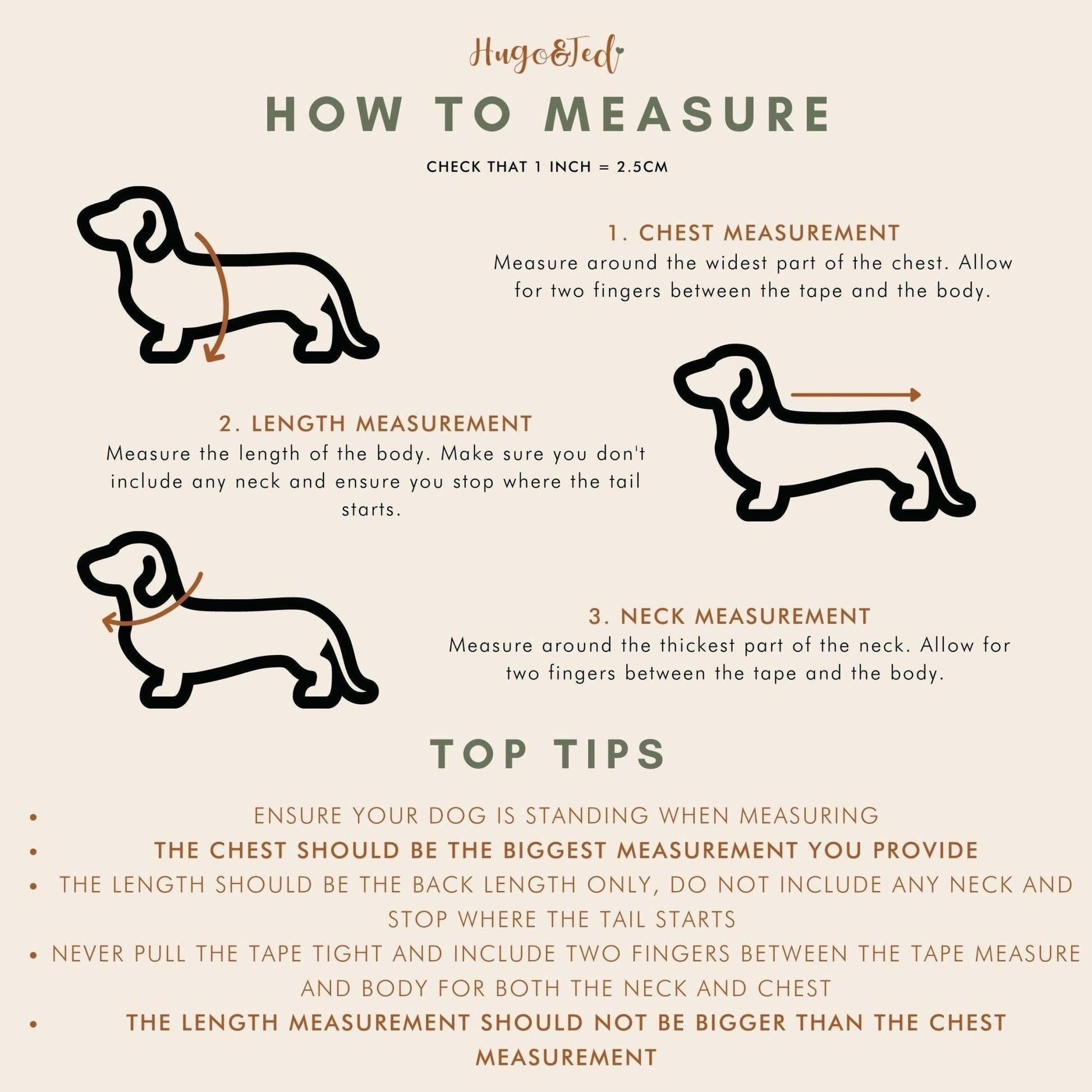 Teddy Bear Dog Fleeces - Hugo and Ted