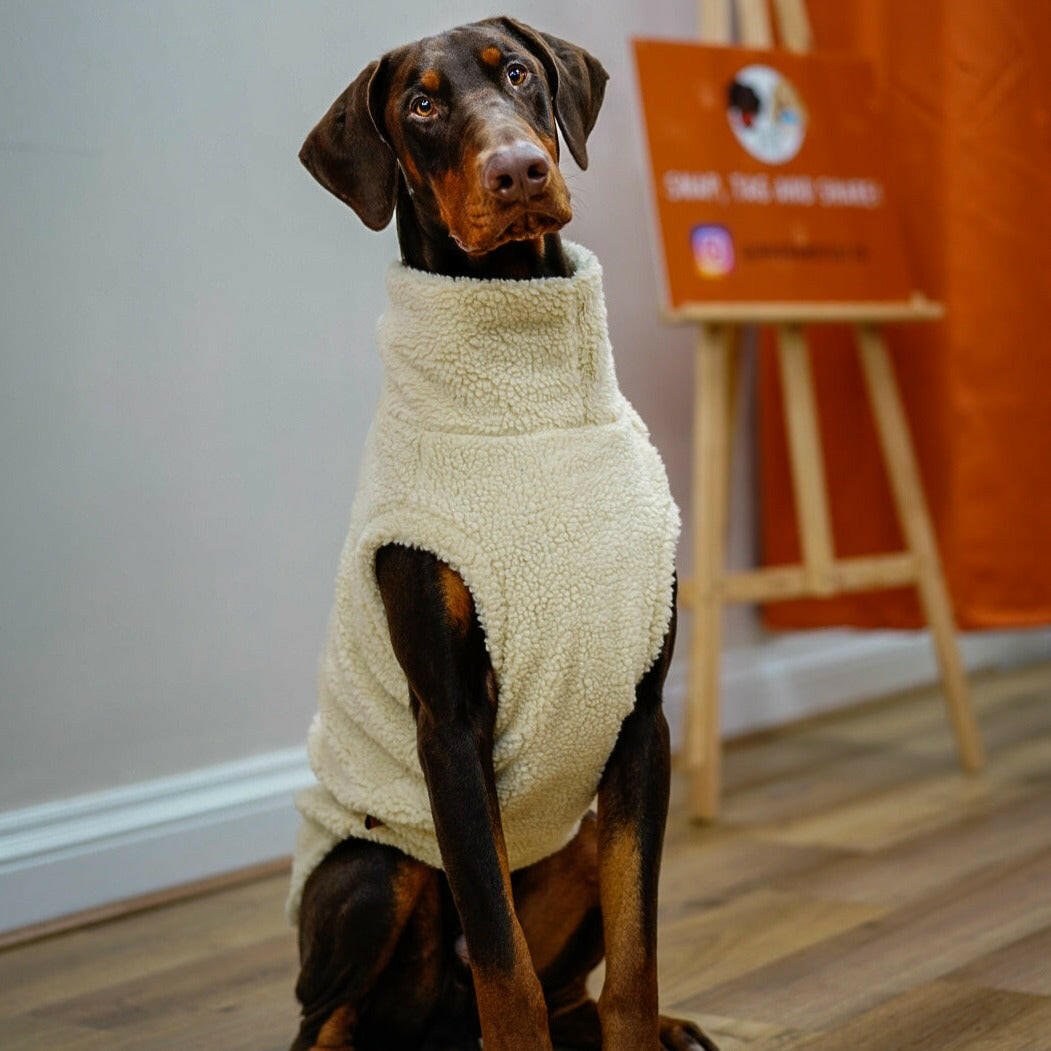 Teddy Bear Dog Fleeces - Hugo and Ted
