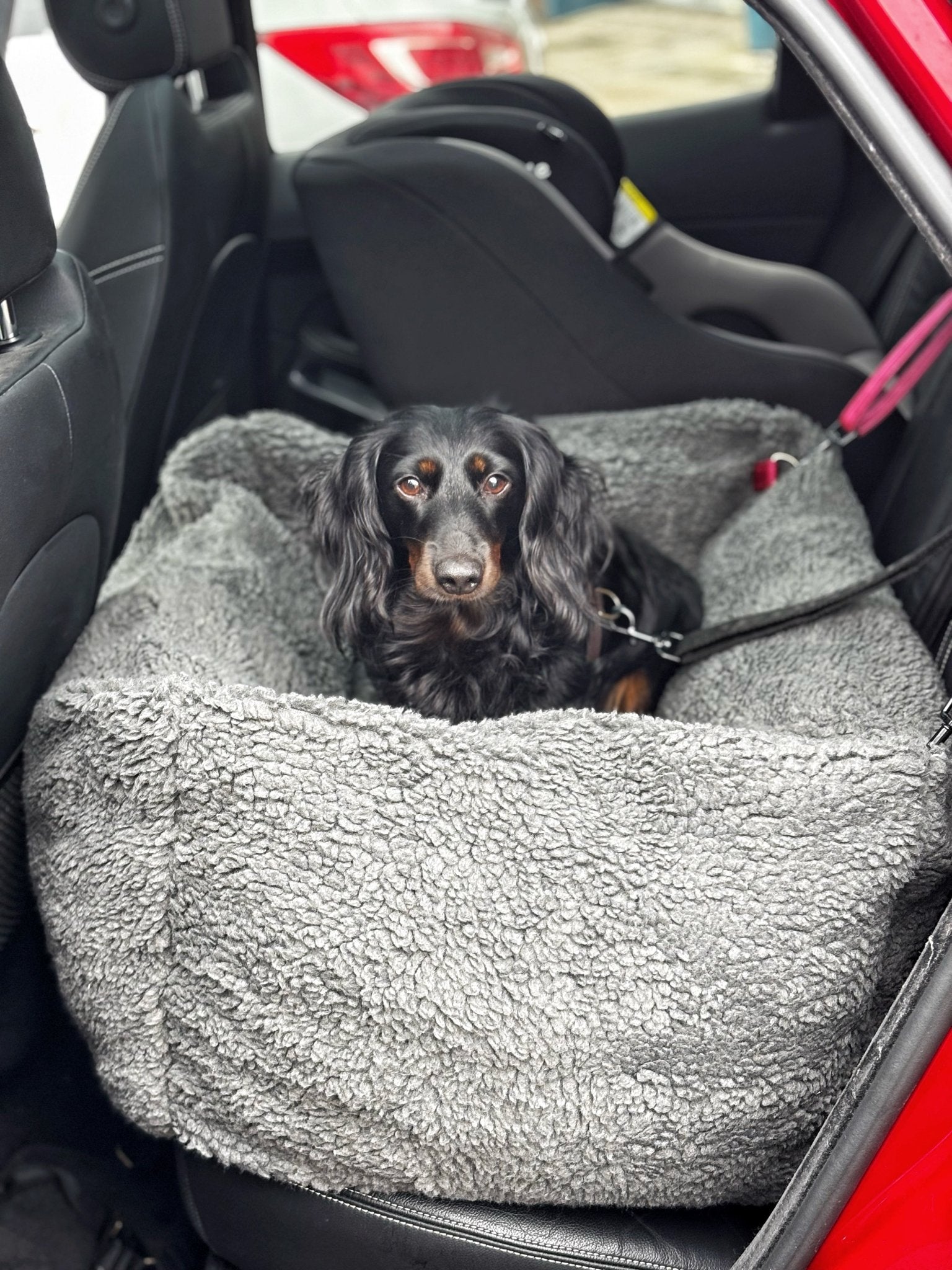 Teddy Car Bed for Dogs – Ultra - Soft, Secure & Travel - Friendly Comfort - Hugo and Ted