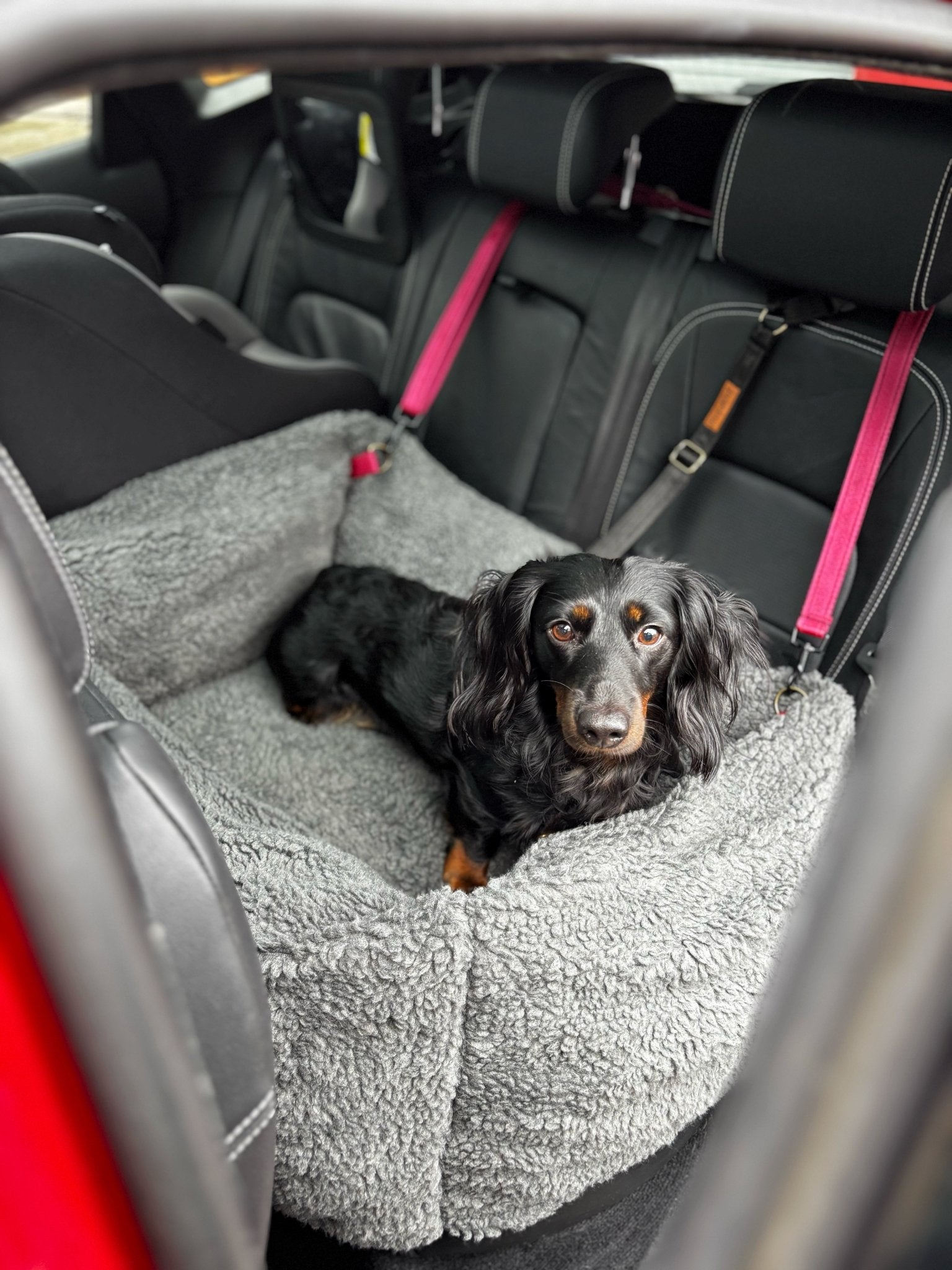 Teddy Car Bed for Dogs – Ultra - Soft, Secure & Travel - Friendly Comfort - Hugo and Ted