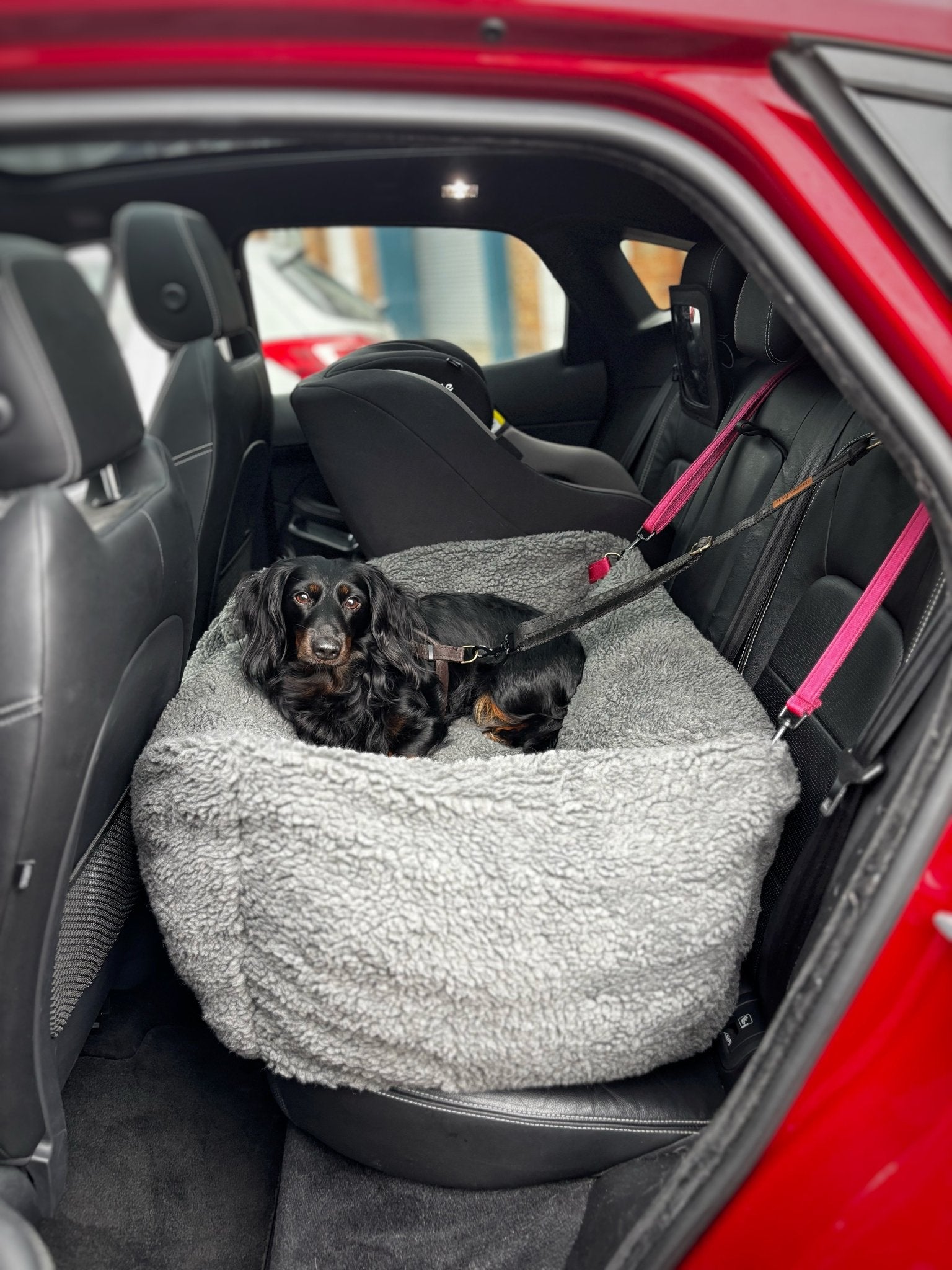 Teddy Car Bed for Dogs – Ultra - Soft, Secure & Travel - Friendly Comfort - Hugo and Ted