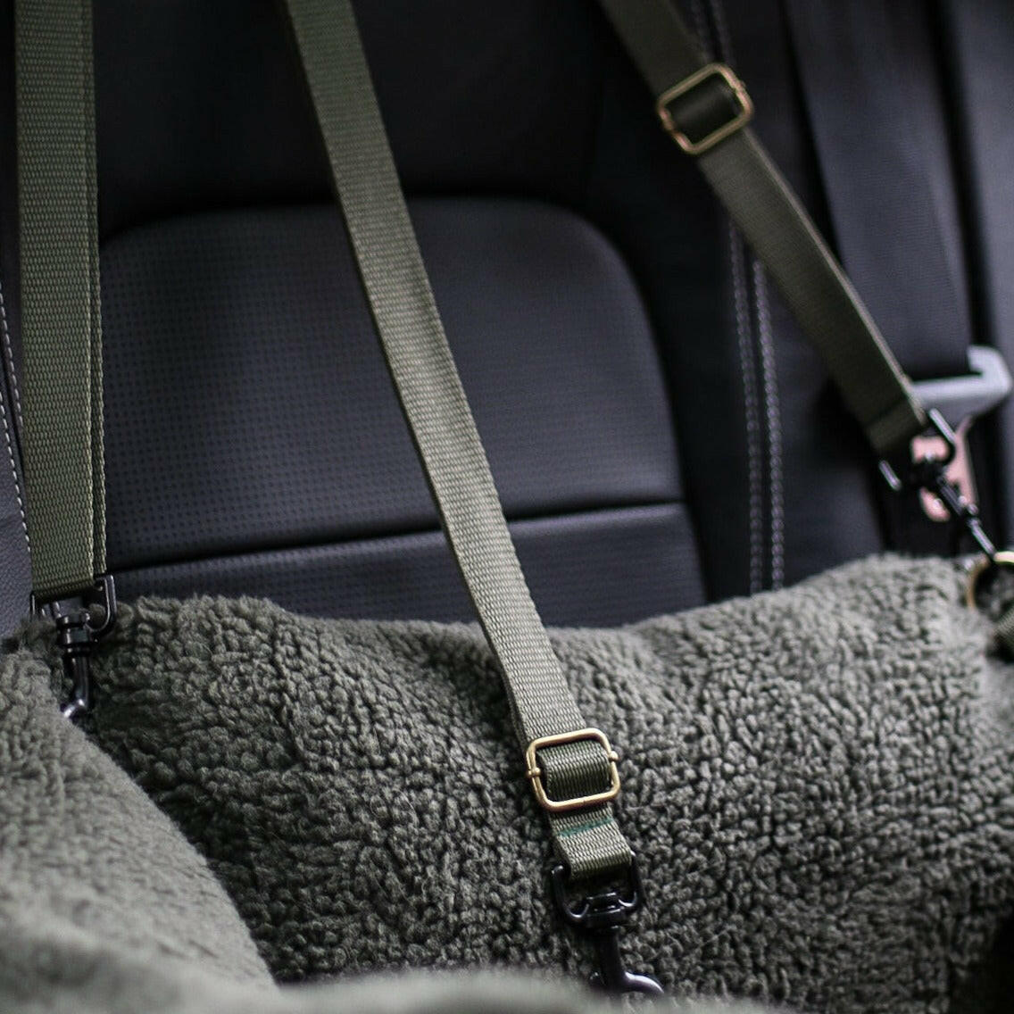 Teddy Car Beds - Hugo and Ted