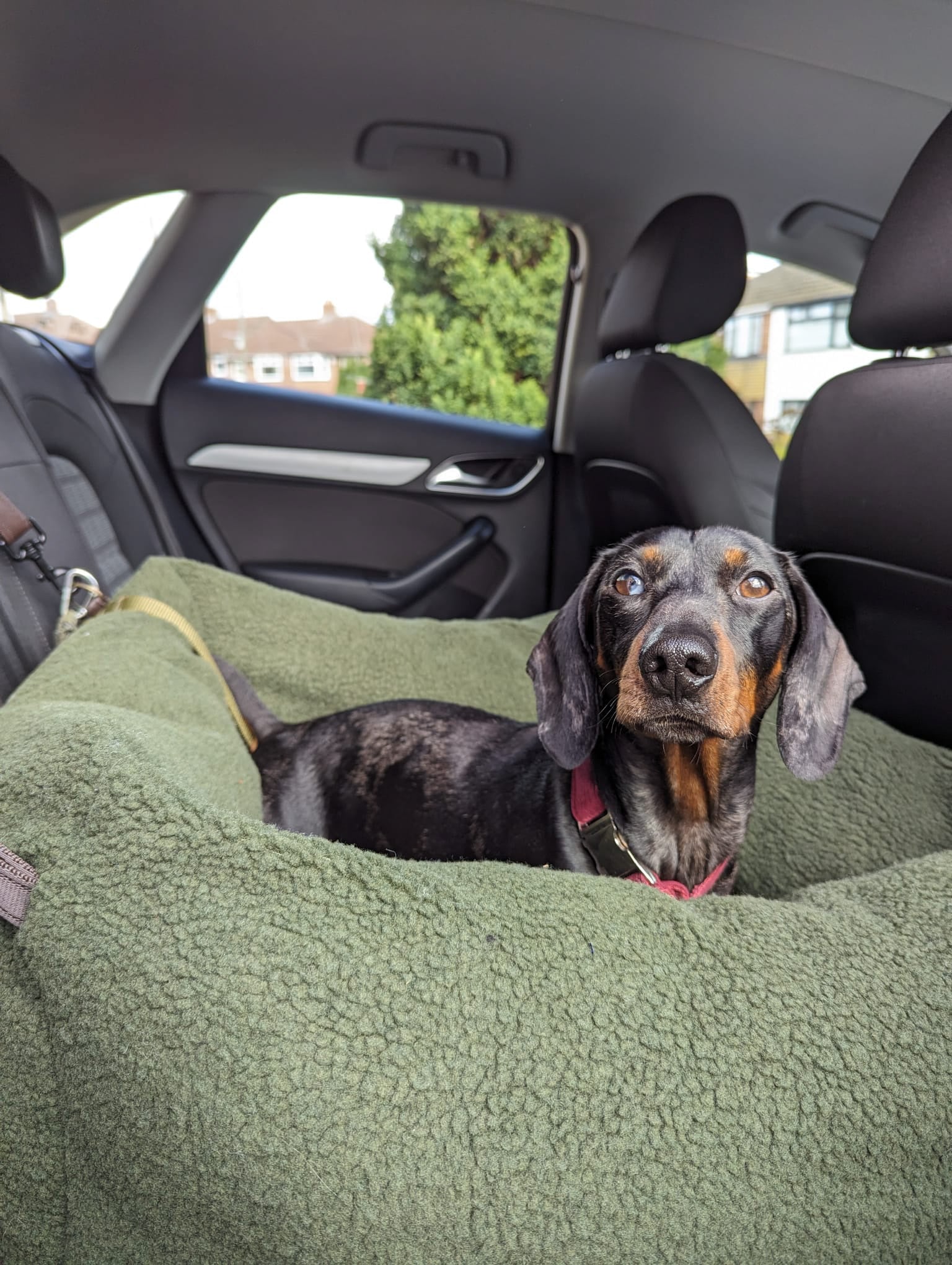 Teddy Car Beds - Hugo and Ted